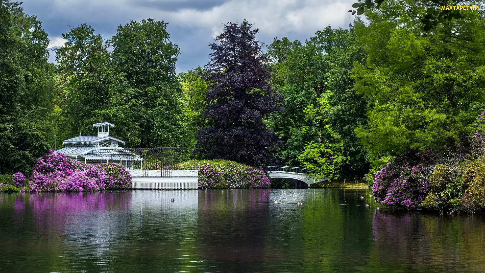 Park, Mostek, Staw, Drzewa, Apeldoorn, Paleispark Het Loo, Holandia, Budowla