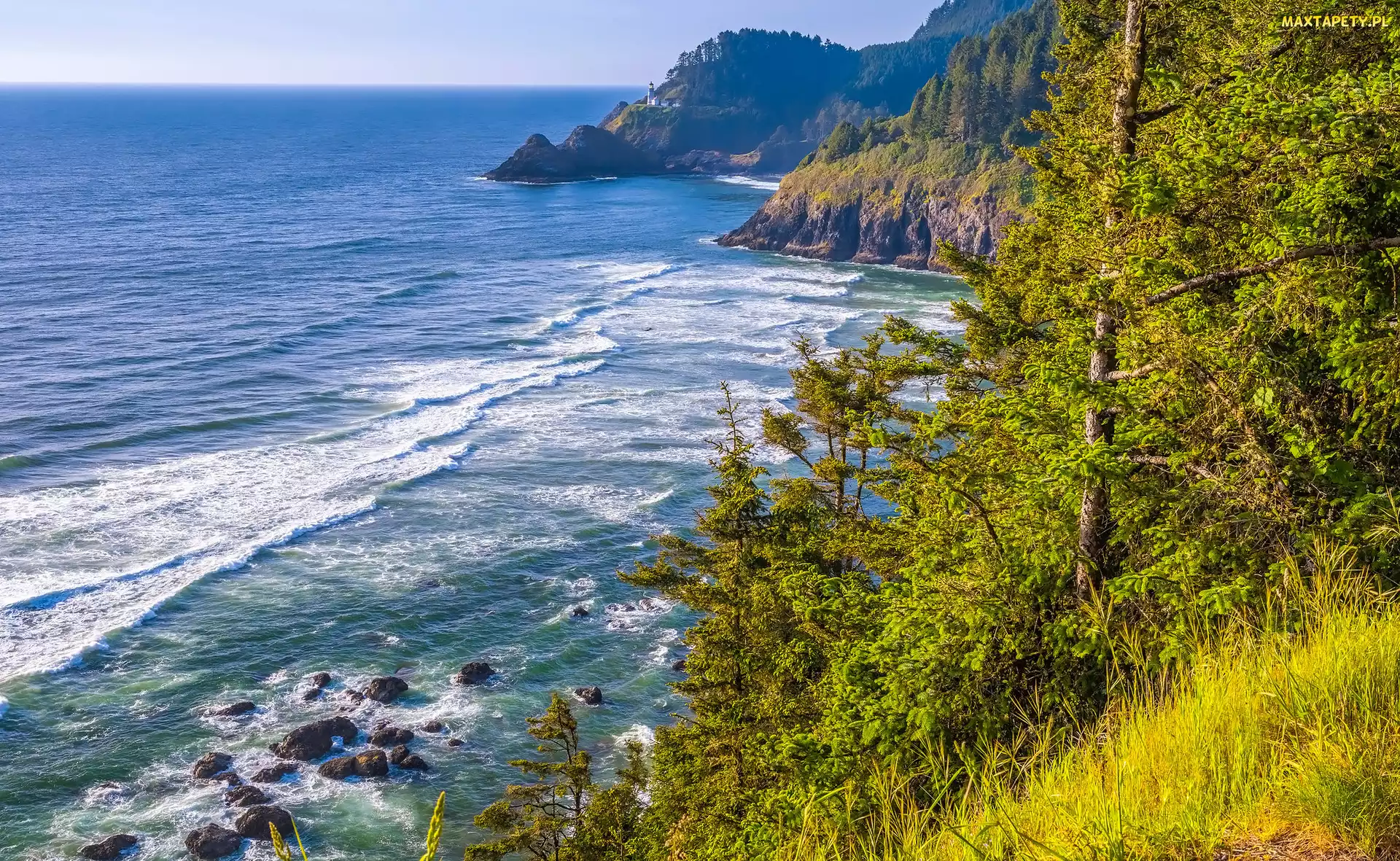 Wybrzeże, Oregon, Latarnia morska, Stany Zjednoczone, Heceta Head Lighthouse, Trawa, Morze, Skały, Drzewa