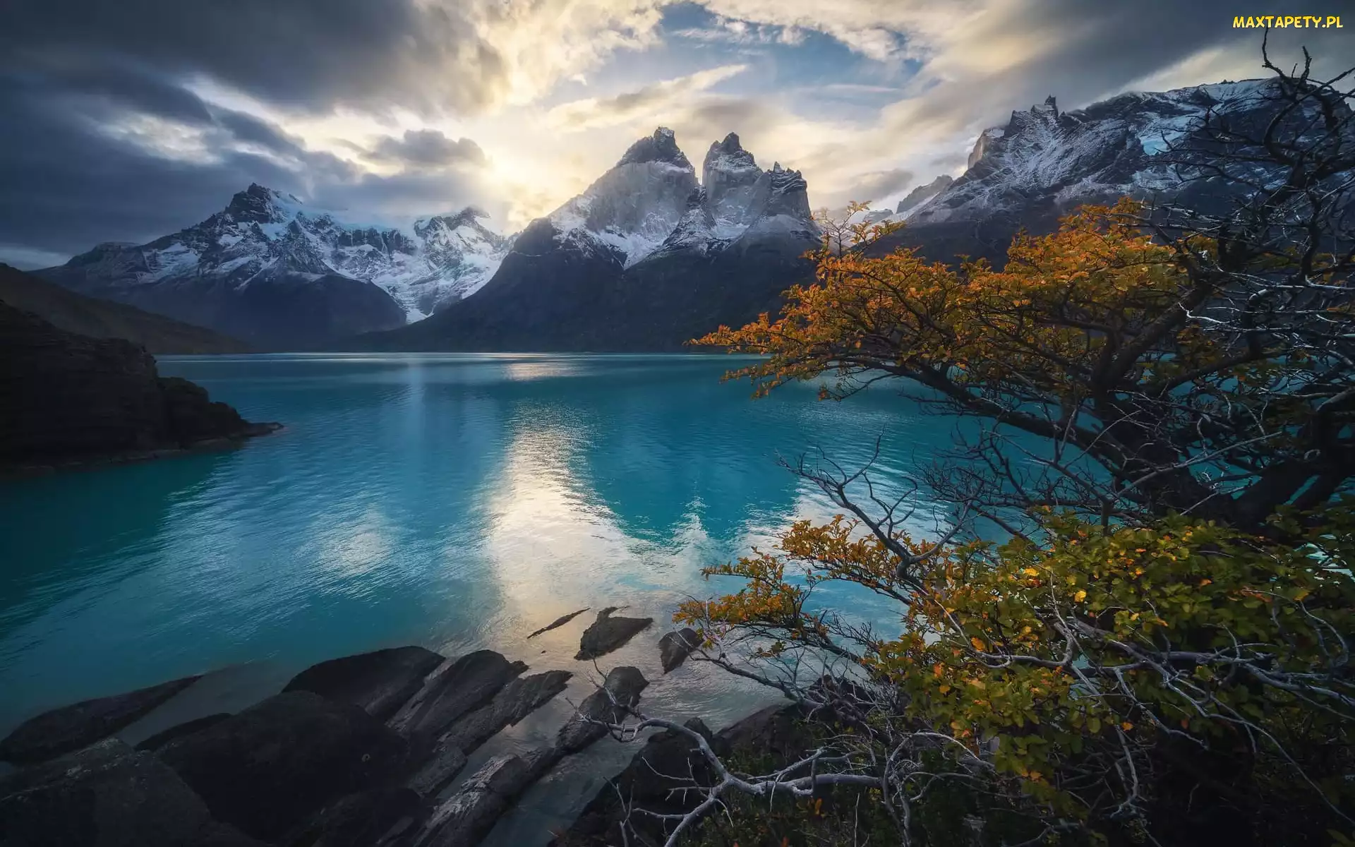 Park Narodowy Torres del Paine, Jezioro, Chile, Cordillera del Paine, Drzewa, Góry, Skały, Lake Pehoe