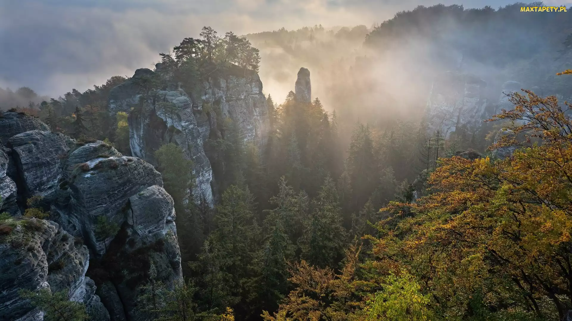 Czechy, Czeski Raj, Skalne Miasto, Góry Stołowe, Hruboskalsko, Formacje skalne, Mgła, Skały, Wschód słońca, Drzewa