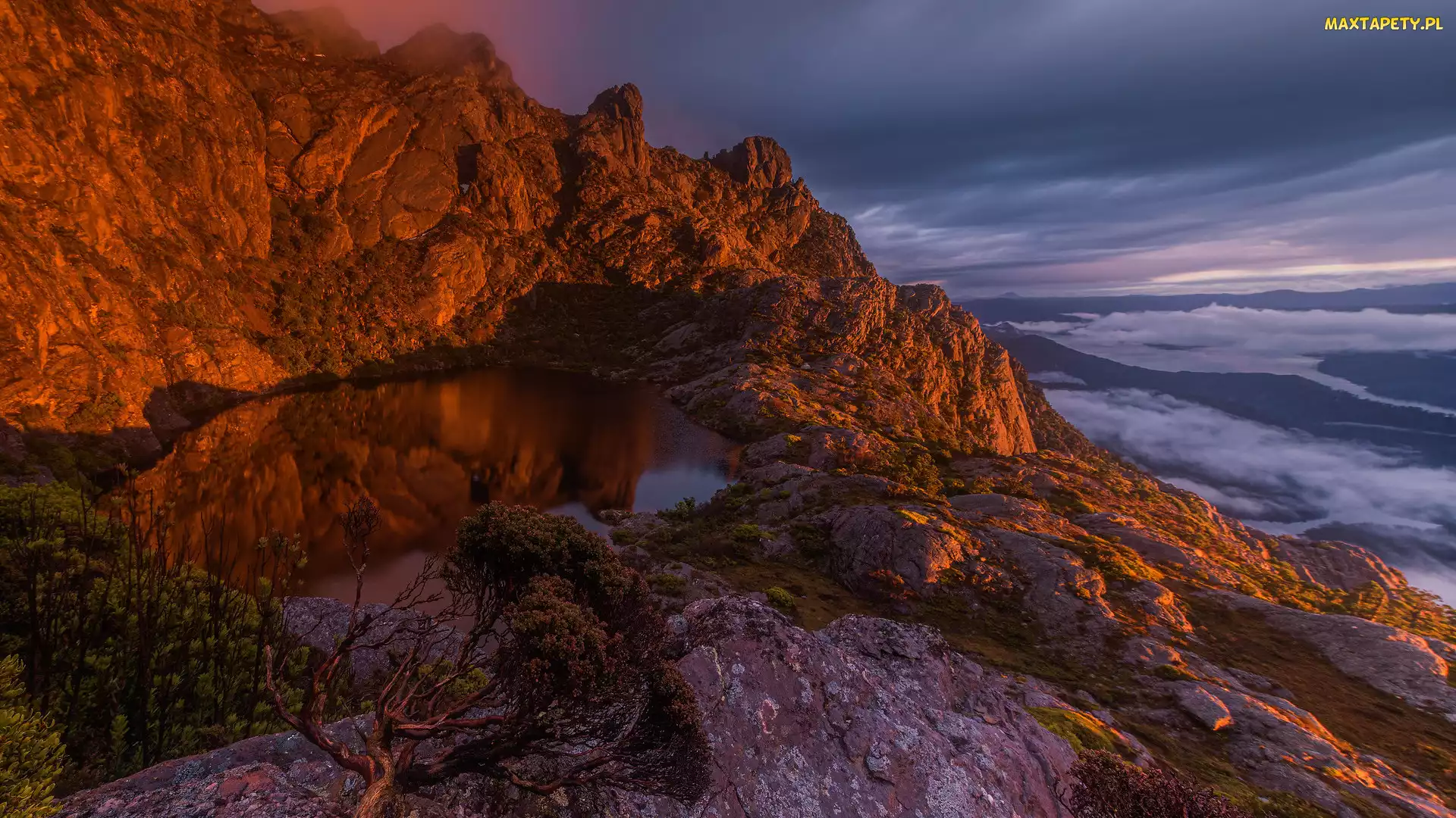 Tasmania, Góry, Jezioro, Australia, Sosna, Skały, Drzewo