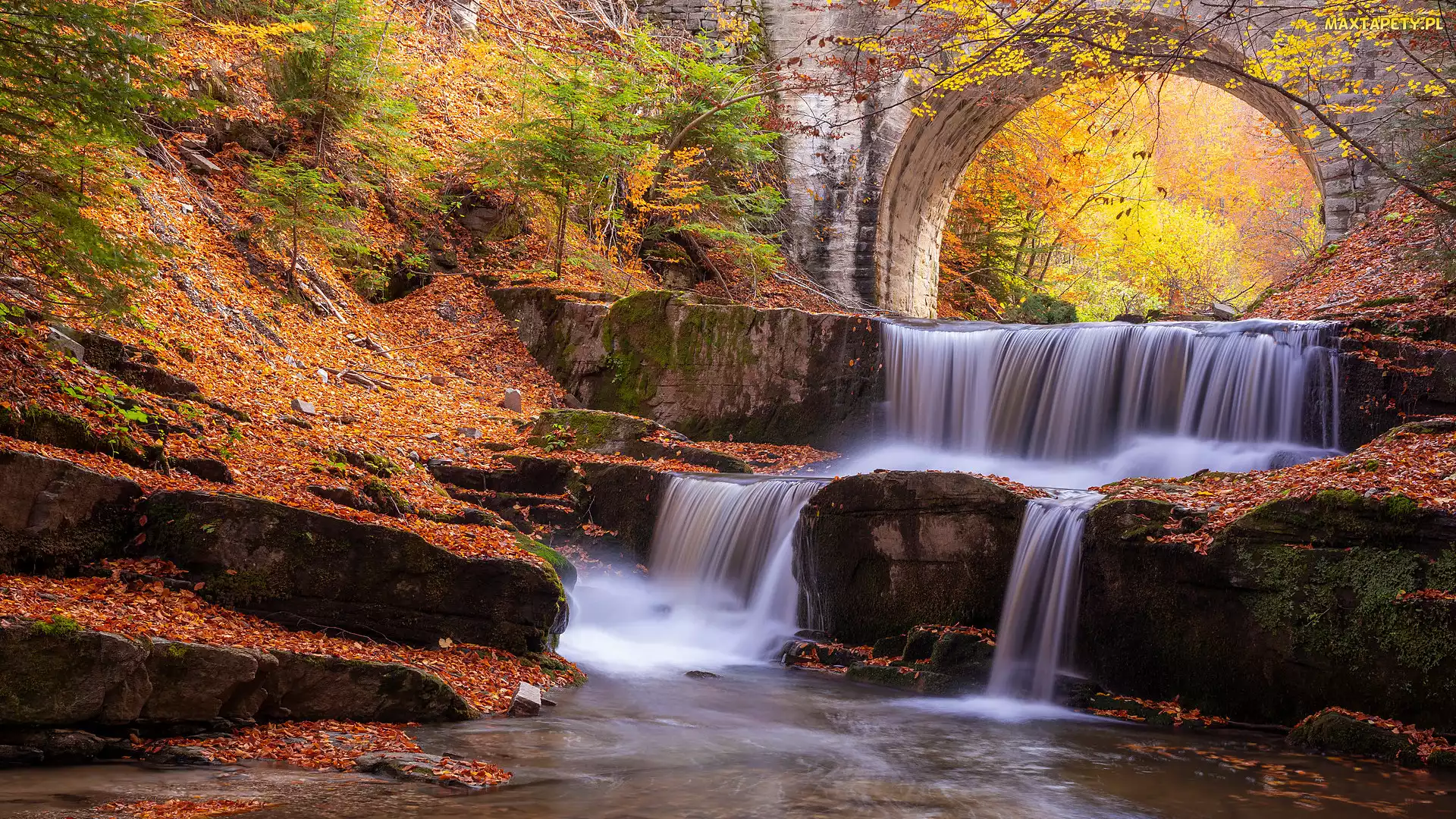 Las, Sitowo, Jesień, Liście, Drzewa, Kaskada, Sitovski Waterfall, Most, Wodospad, Rzeka, Opadłe, Bułgaria, Kamienny