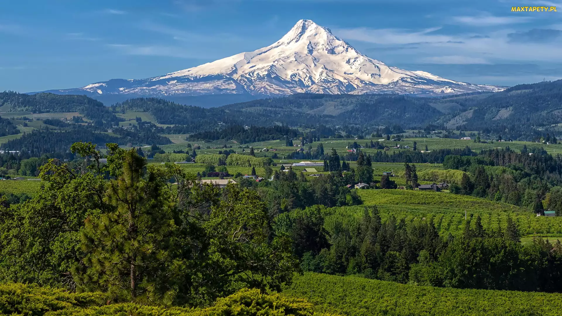 Stan Oregon, Miejscowość Hood River, Mount Hood, Stany Zjednoczone, Drzewa, Góra, Domy