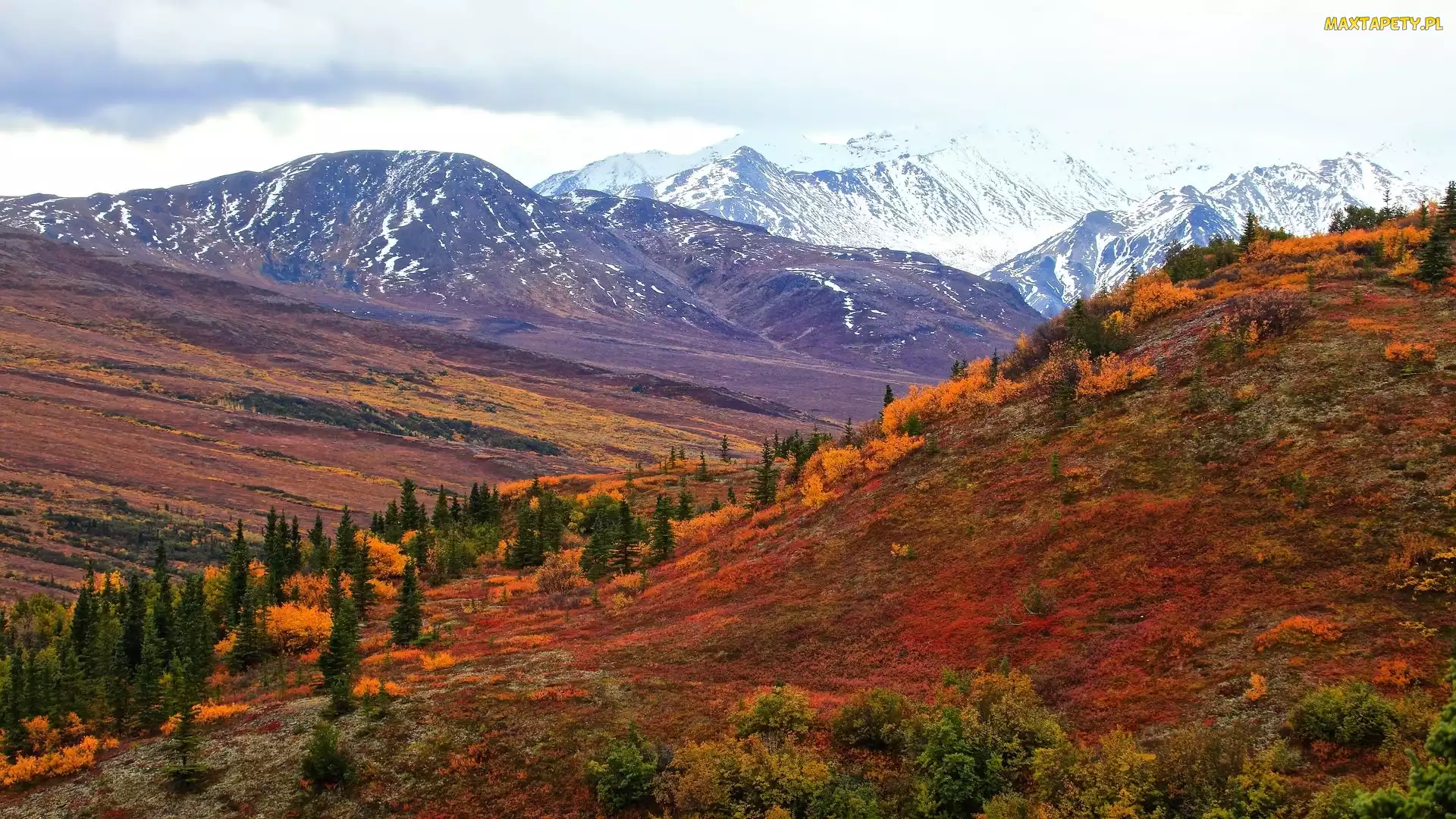 Stany Zjednoczone, Alaska, Jesień, Góry, Kolorowe, Krzewy