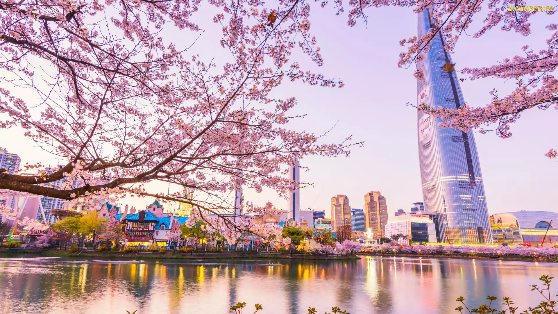 Seul, Jezioro, Korea Południowa, Lotte World Tower, Gałęzie, Drapacz chmur, Drzewo, Okwiecone