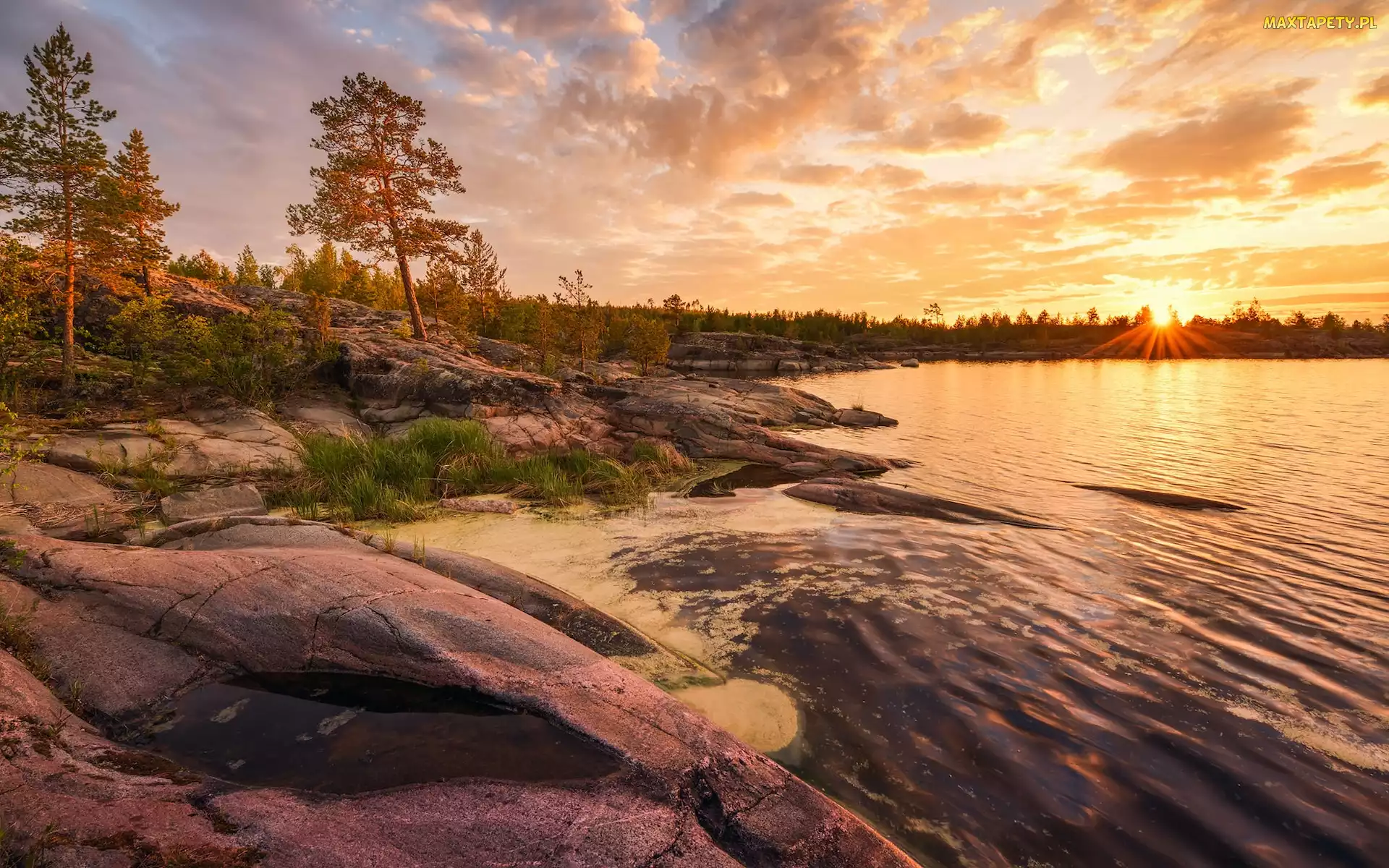Rosja, Karelia, Jezioro Ładoga, Wschód słońca, Skały, Drzewa
