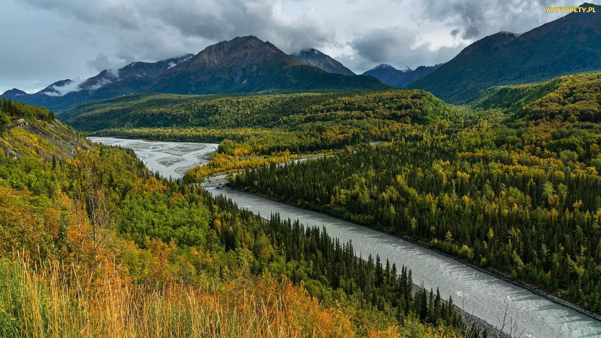 Chugach Mountains, Drzewa, Góry, Matanuska River, Alaska, Rzeka, Stany Zjednoczone, Chickaloon