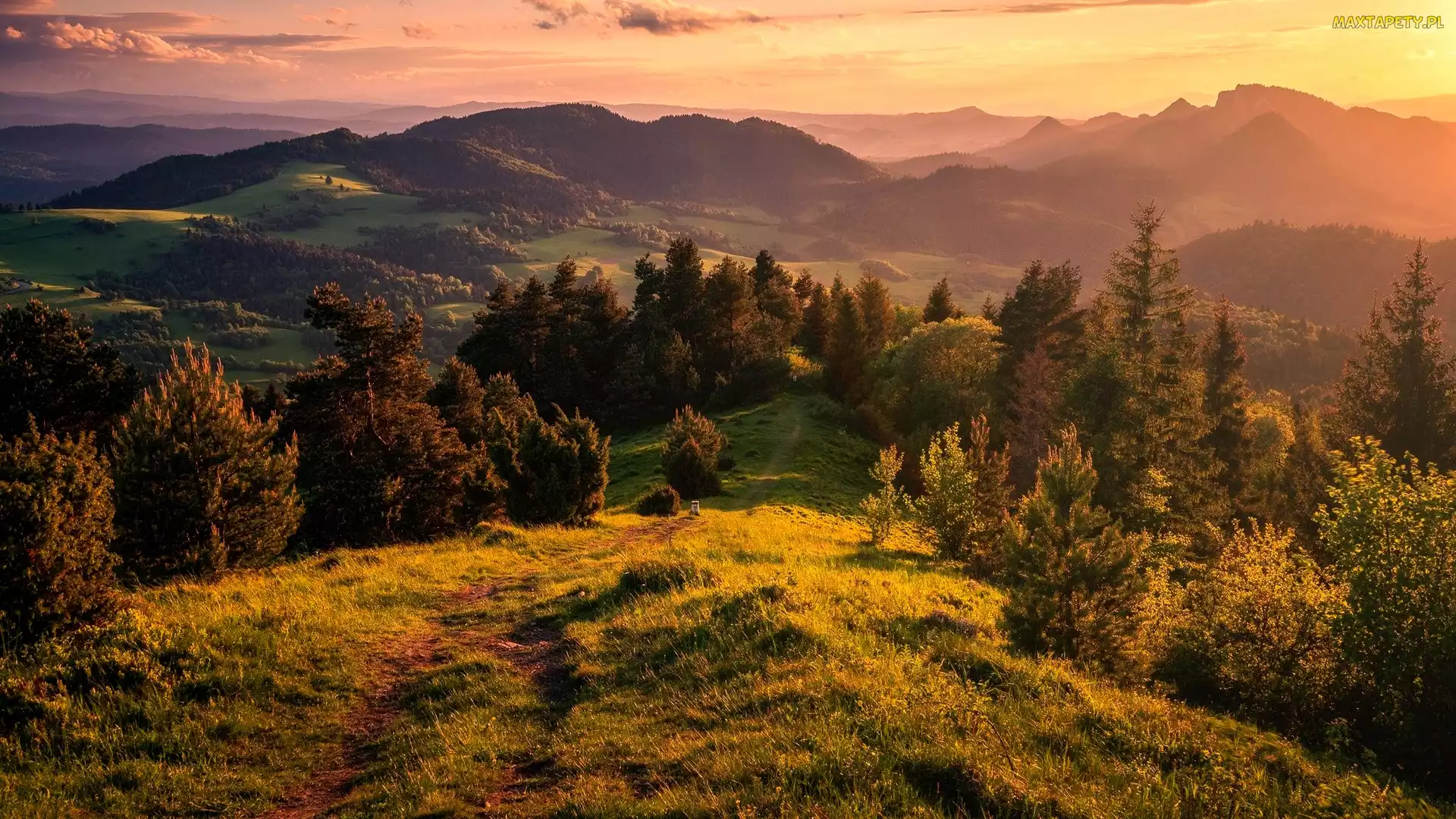 Góry, Drzewa, Polana, Małe Pieniny, Polska