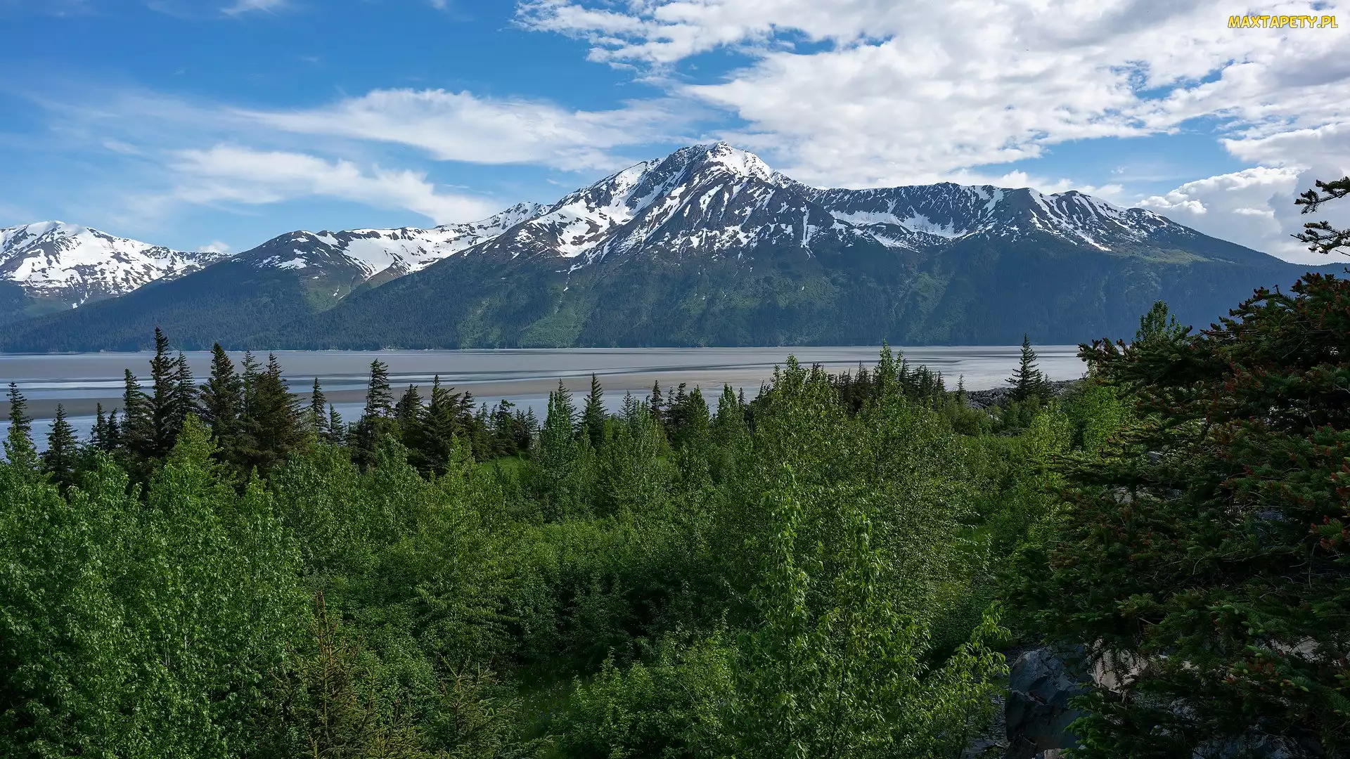 Góry, Alaska, Turnagain Arm, Stany Zjednoczone, Anchorage, Bird Point Park, Kenai Mountains, Rzeka, Drzewa