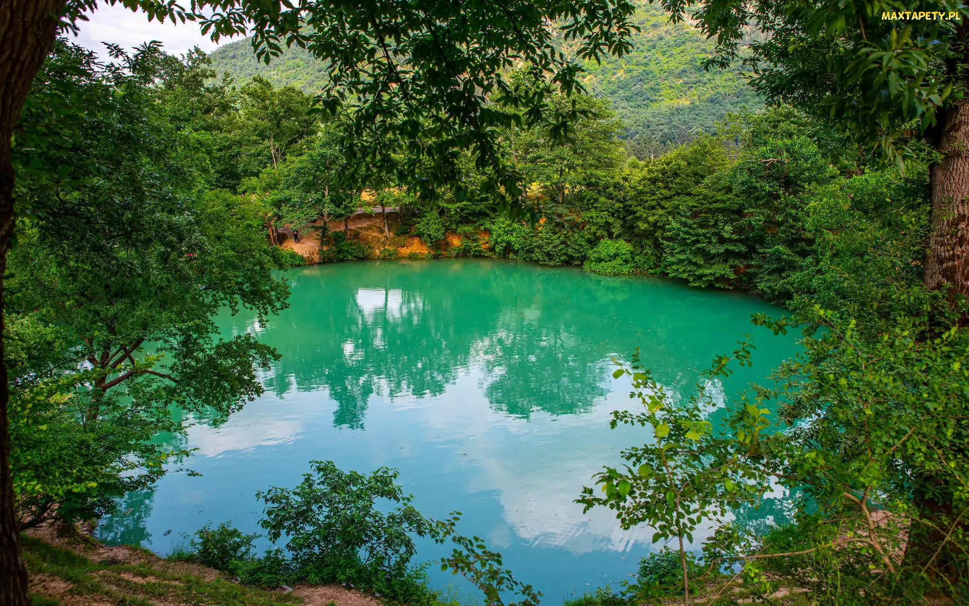 Krzewy, Drzewa, Prowincja Golestan, Iran, Jezioro, Gol e Ramian