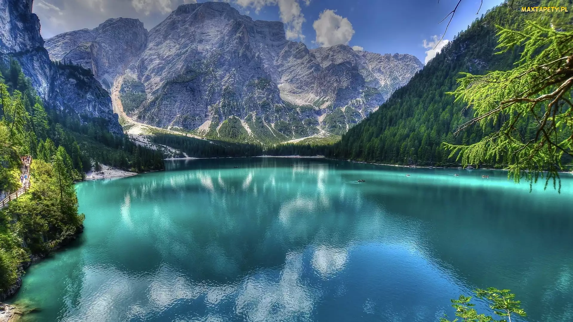Drzewa, Lago di Braies, Dolomity, Włochy, Pragser Wildsee, Góry, Jezioro