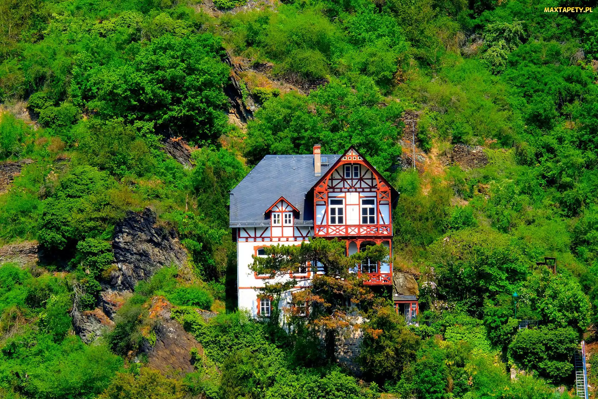 Skały, Drzewa, Dom, Zbocze