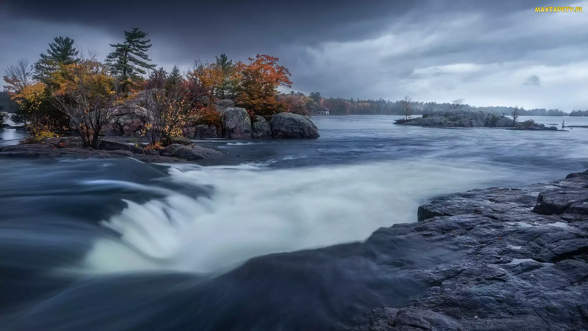 Torrent River, Nowa Zelandia, Drzewa, Skały, Rzeka