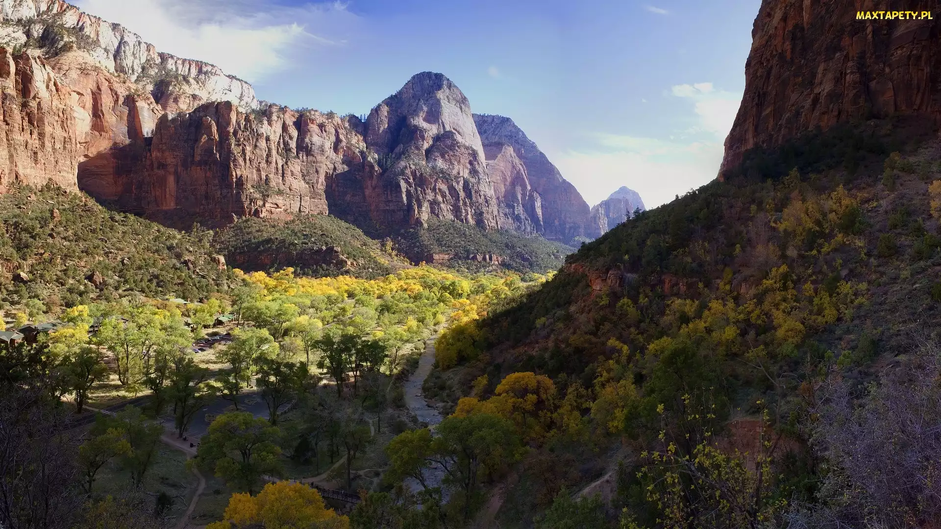 Skały, Krzewy, Góry, Virgin River, Utah, Rzeka, Stany Zjednoczone, Park Narodowy Zion
