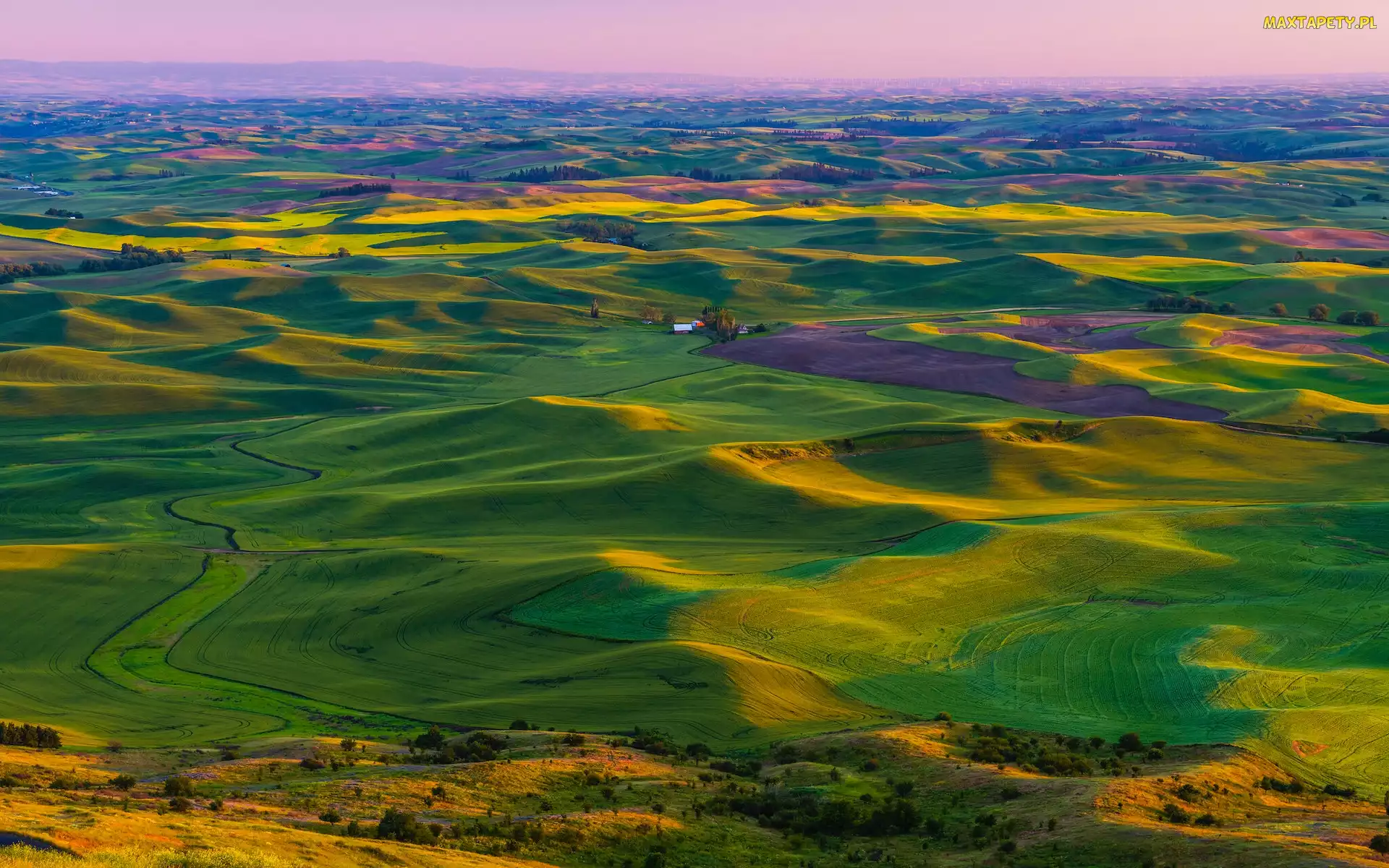 Waszyngton, Pola, Wzgórza, Palouse, Stany Zjednoczone
