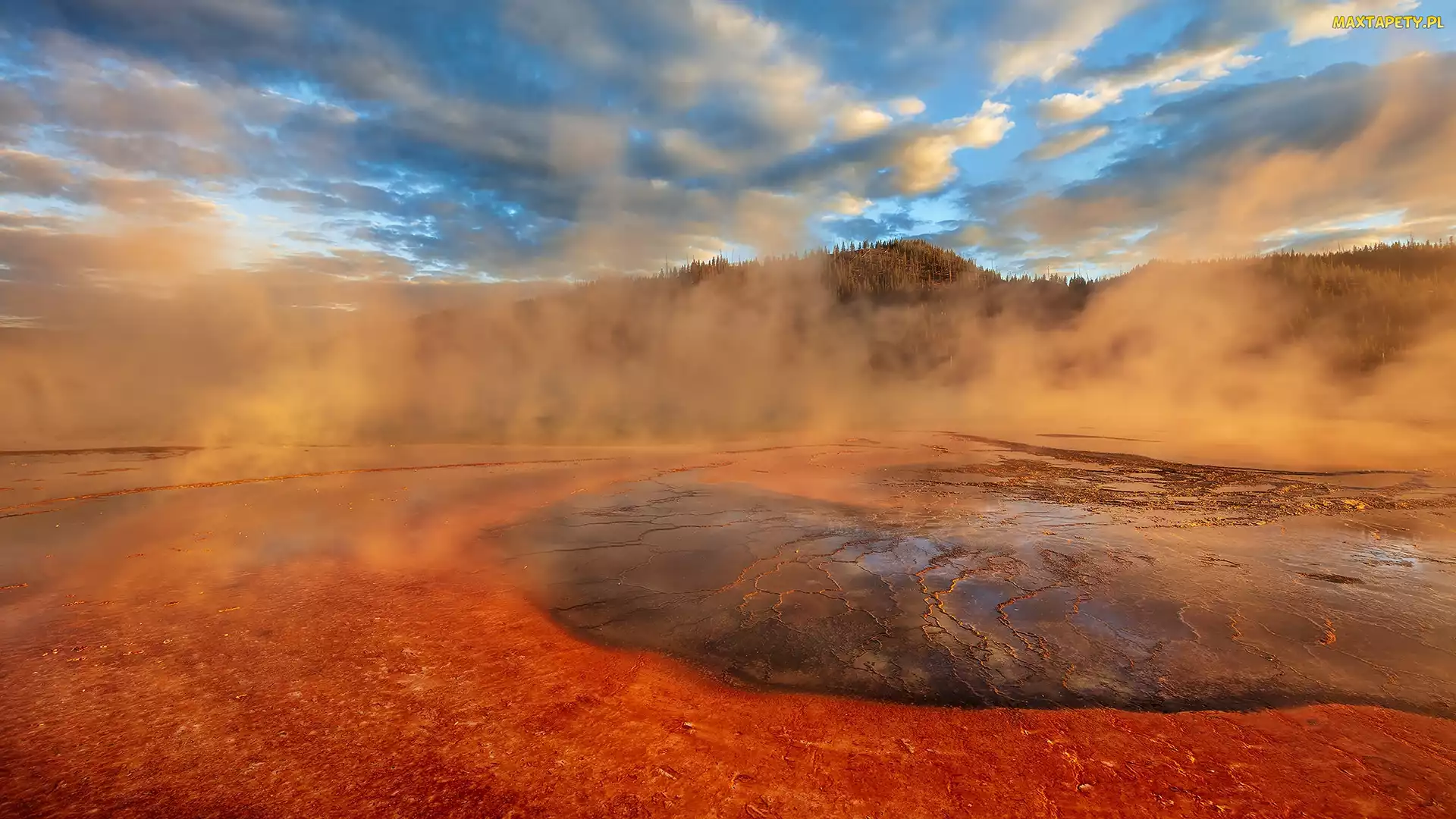 Gejzer, Wyoming, Midway Geyser Basin, Stany Zjednoczone Gejzer, Park Narodowy Yellowstone, Drzewa, Źródło termalne, Grand Prismatic Spring, Para