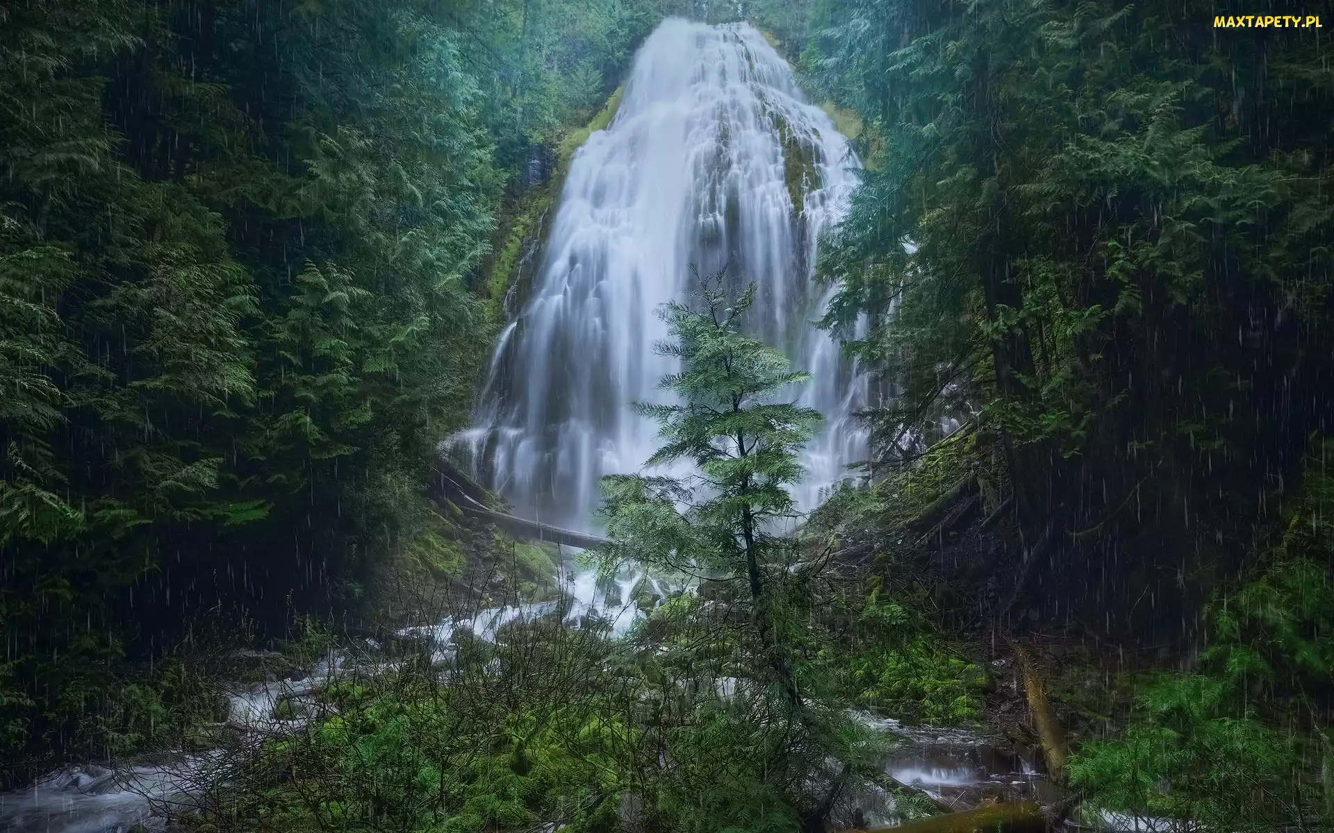 Oregon, Fairy Falls, Drzewa, Stany Zjednoczone, Wodospad, Las, Deszcz