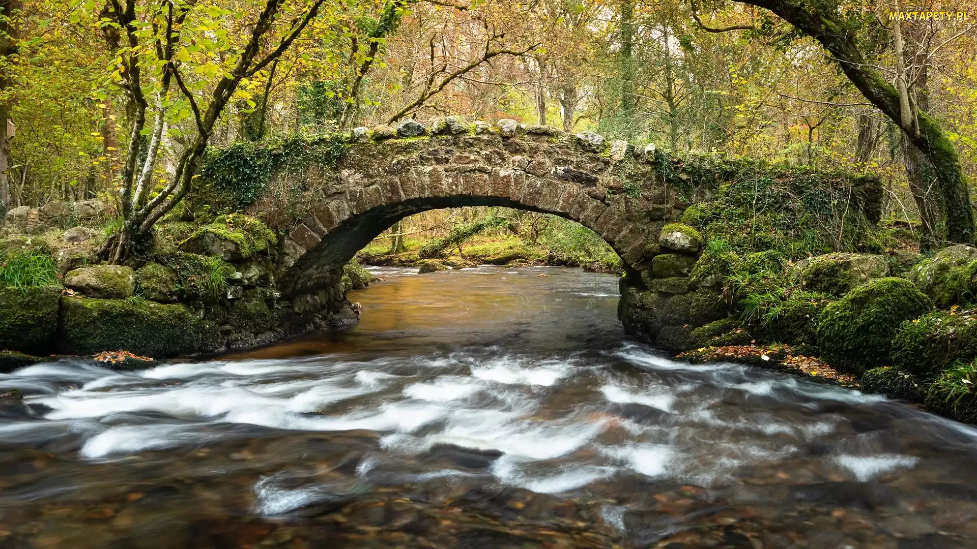 Anglia, Drzewa, Kamienie, Dartmoor, Kamienny, River Bovey, Most, Hisley Bridge, Rzeka, Omszałe