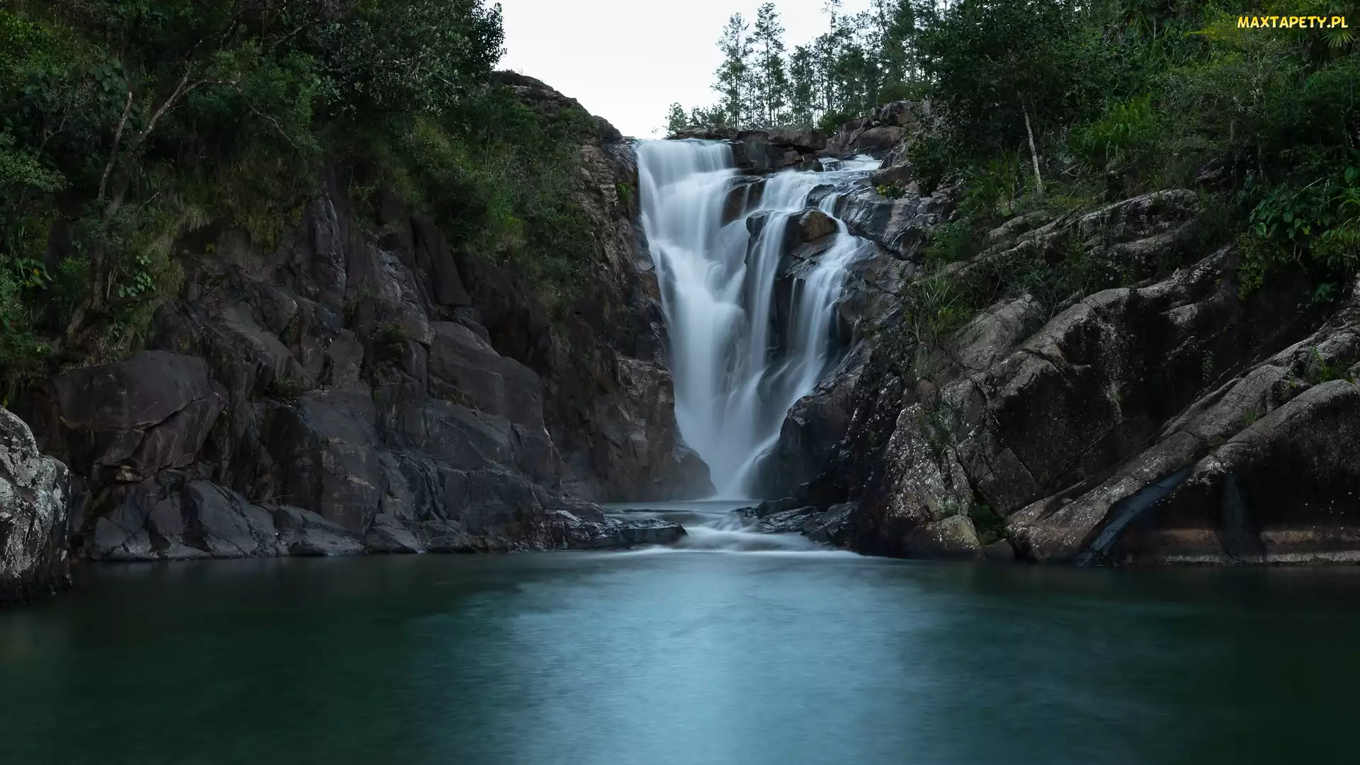 Drzewa, Skały, Big Rock Falls, Belize, Privassion Creek, Wodospad, Rzeka