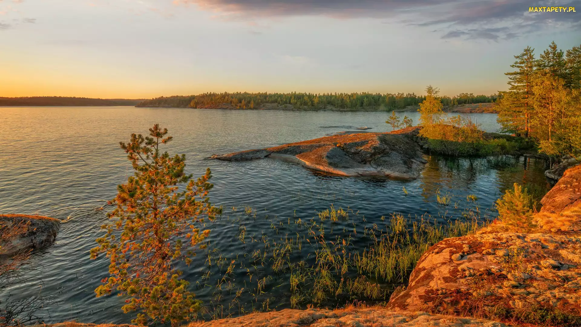 Rosja, Karelia, Drzewa, Jesień, Zachód słońca, Jezioro Ładoga