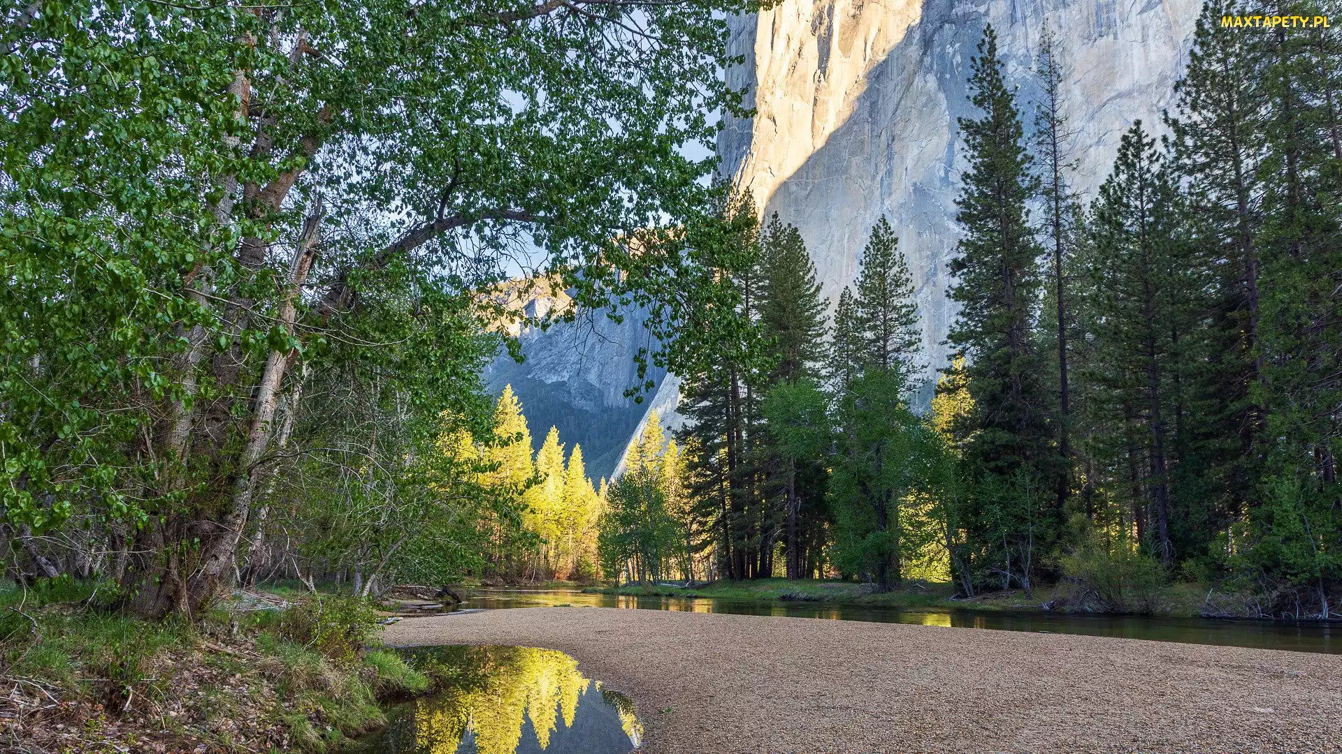 Kałuże, Cathedral Beach, Góry, Teren, Kalifornia, Drzewa, Stany Zjednoczone, Park Narodowy Yosemite