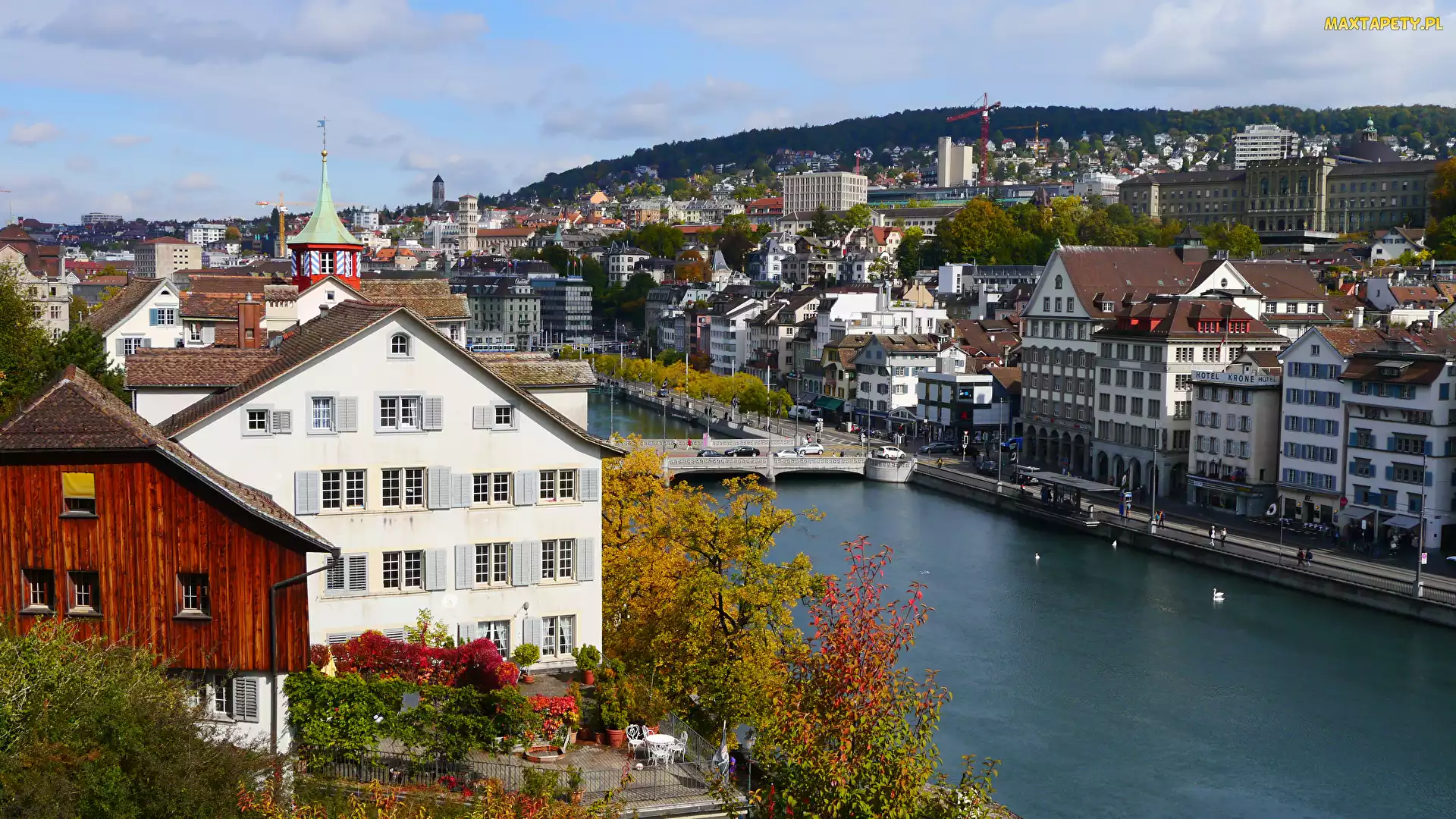 Drzewa, Most, Zurych, Szwajcaria, Budynek, Rzeka Limmat