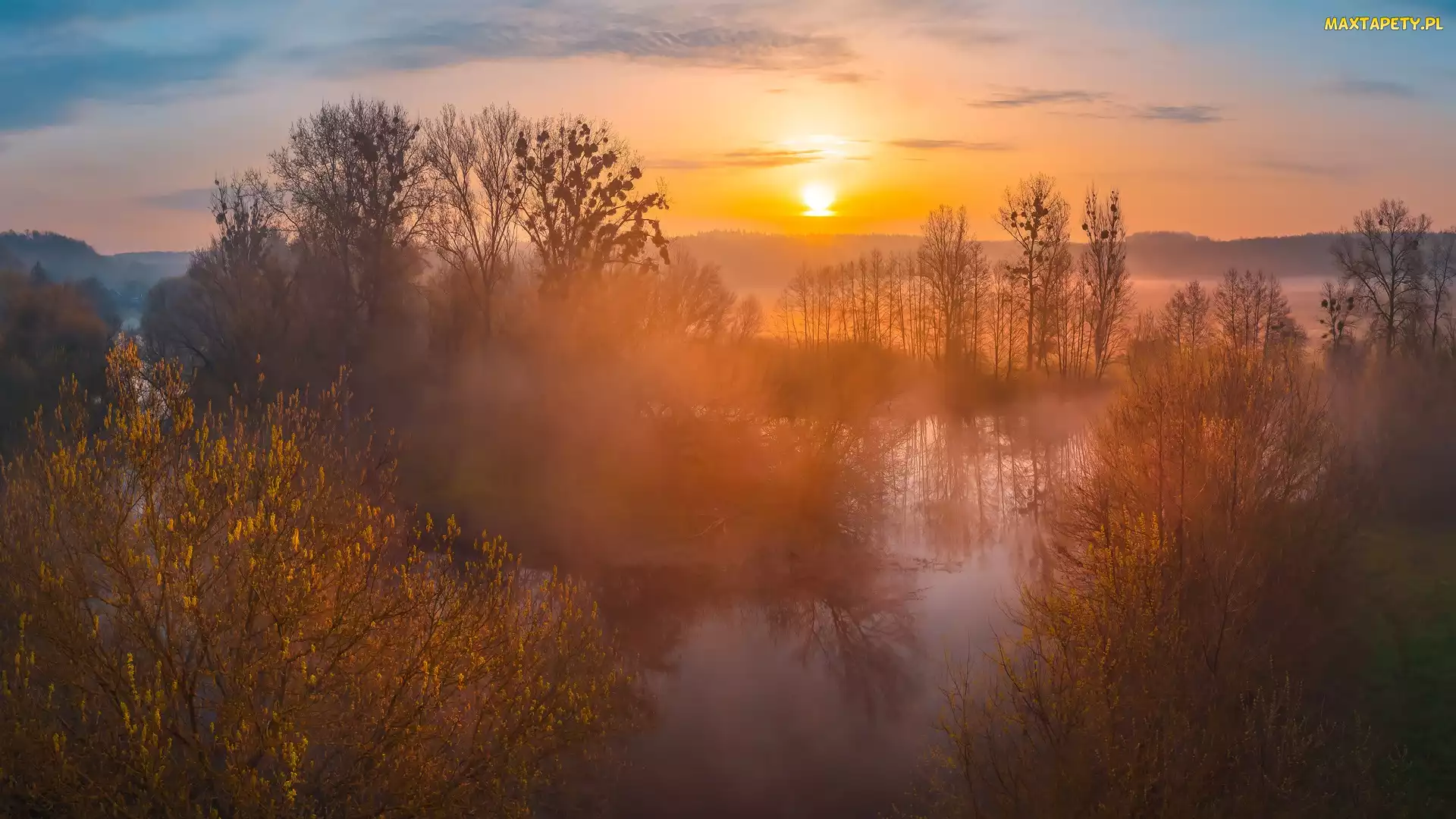 Drzewa, Mgła, Wschód słońca, Krzewy, Rzeka