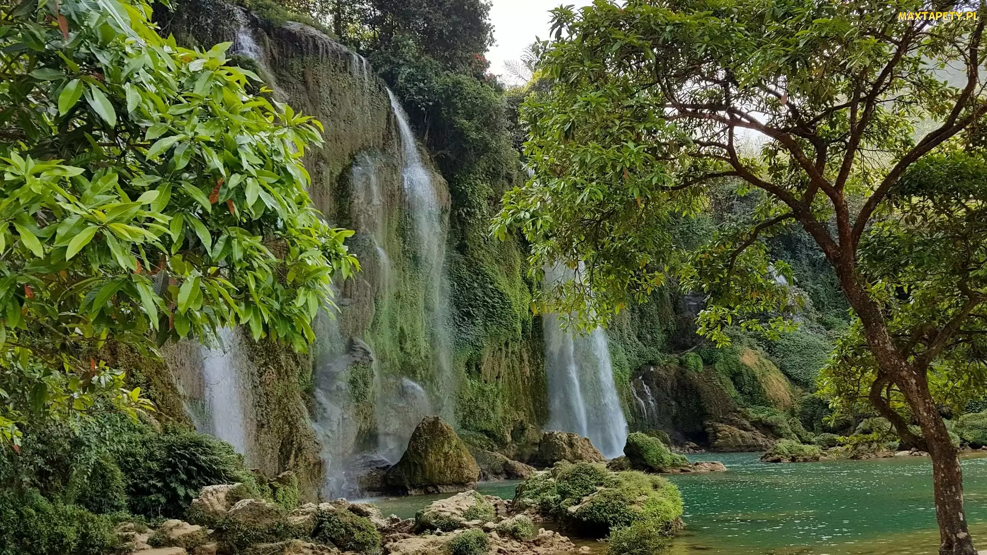 Wodospad, Wietnam, Drzewa, Ban Gioc Waterfall, Skały