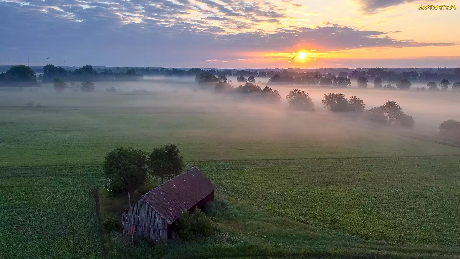 Szopa, Drzewa, Łąka, Wschód słońca, Pola, Mgła