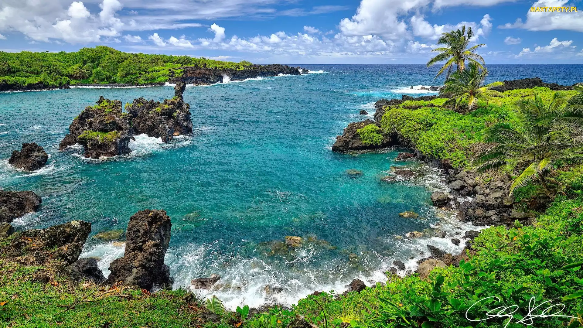 Skały, Morze, Hawaje, Palmy, Park stanowy Waianapanapa, Stany Zjednoczone, Wyspa Maui