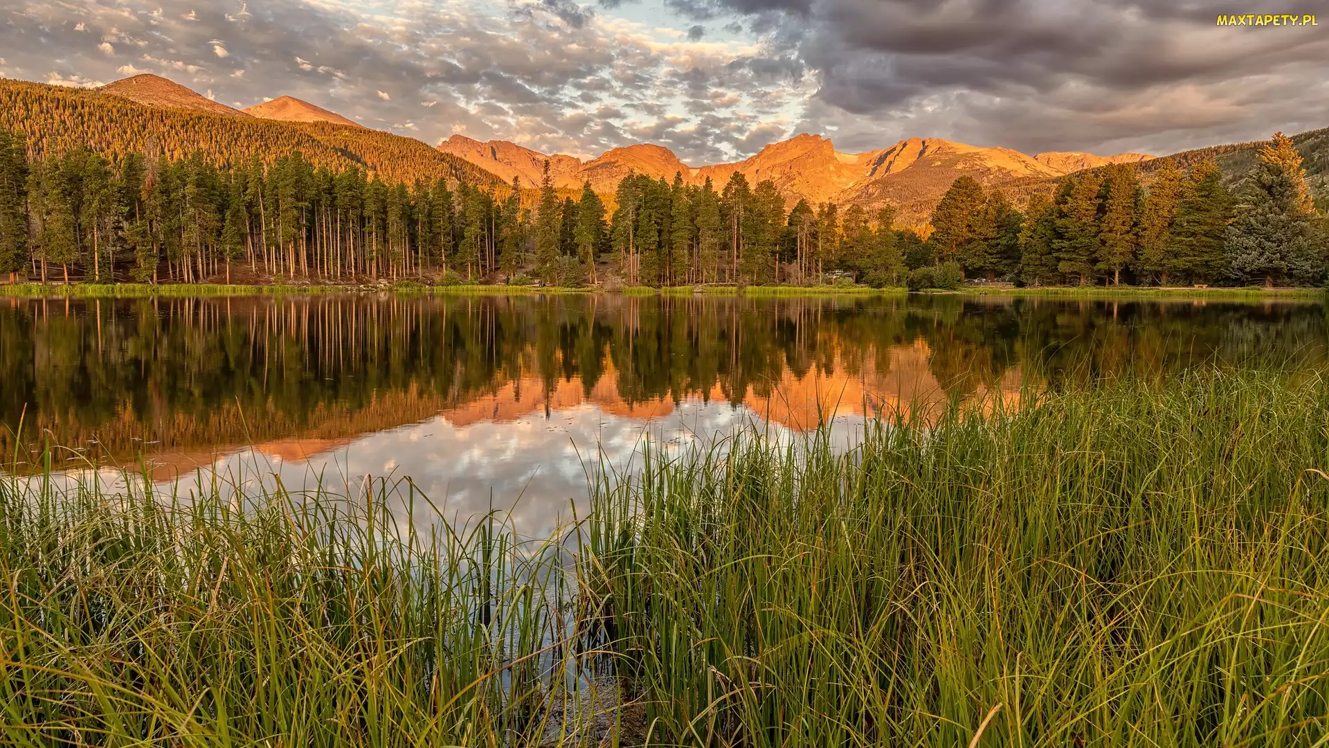 Drzewa, Spraque Lake, Kolorado, Wschód słońca, Jezioro, Stany Zjednoczone, Park Narodowy Gór Skalistych