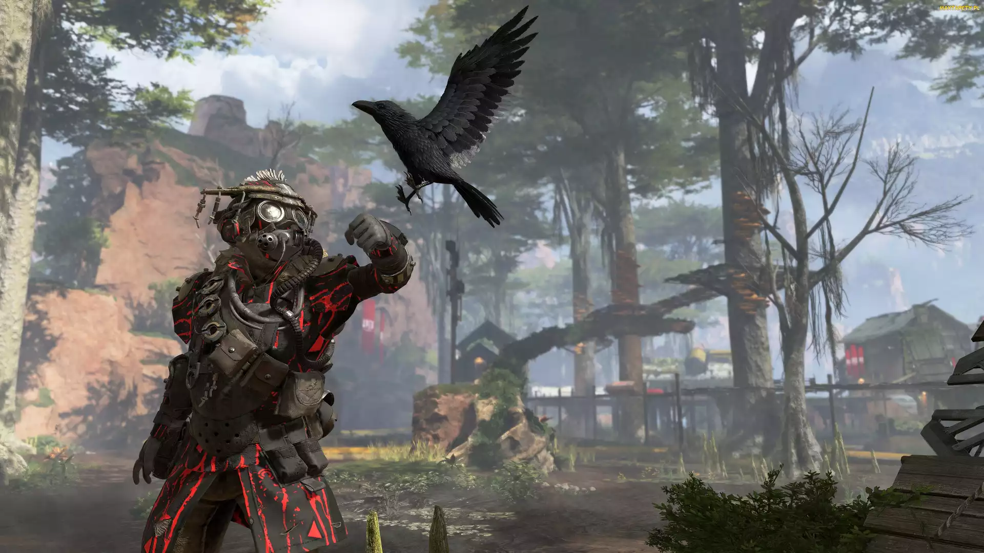 Ptak, Apex Legends, Gra, Kruk, Postać