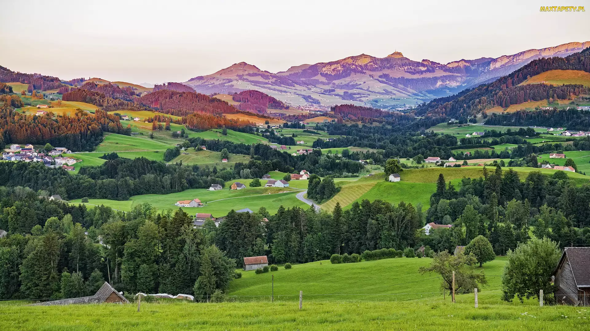 Gmina Stein, Wzgórza, Alpy Szwajcarskie, Szwajcaria, Drzewa, Góry, Domy
