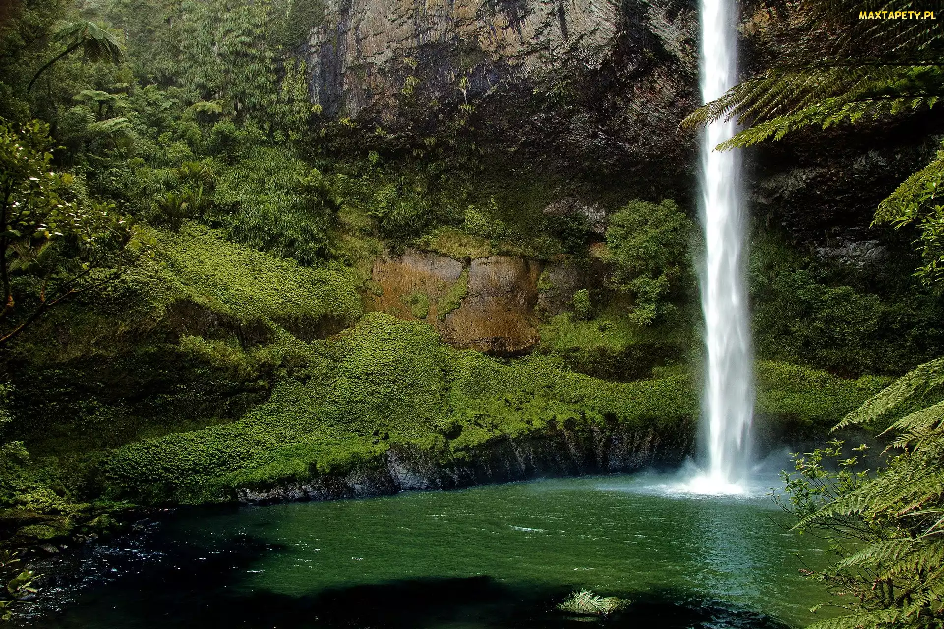 Bridal Veil Falls, Nowa Zelandia, Rośliny, Skały, Wodospad