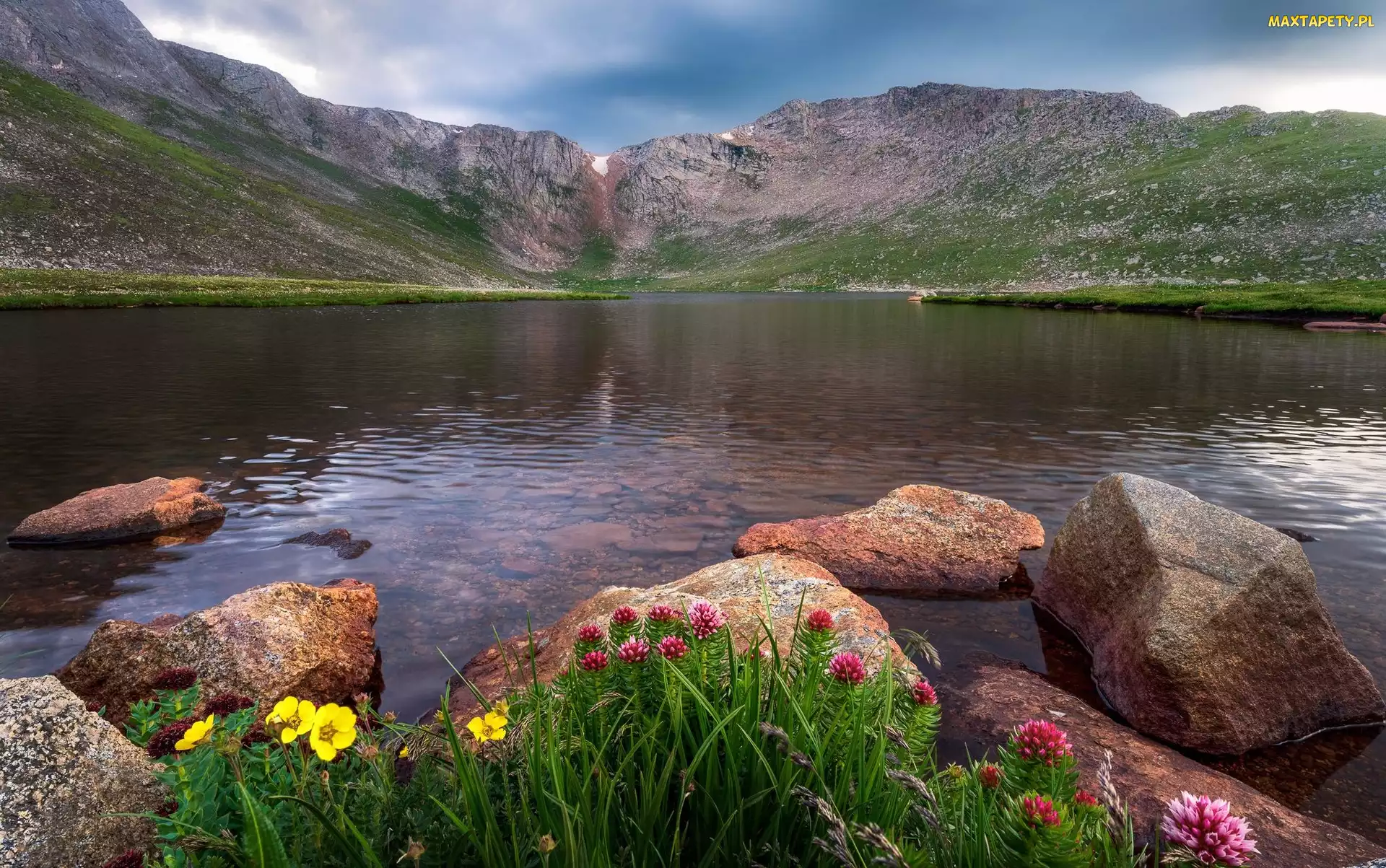 Mount Evans, Kamienie, Góry, Summit Lake, Stan Kolorado, Jezioro, Stany Zjednoczone, Kwiaty