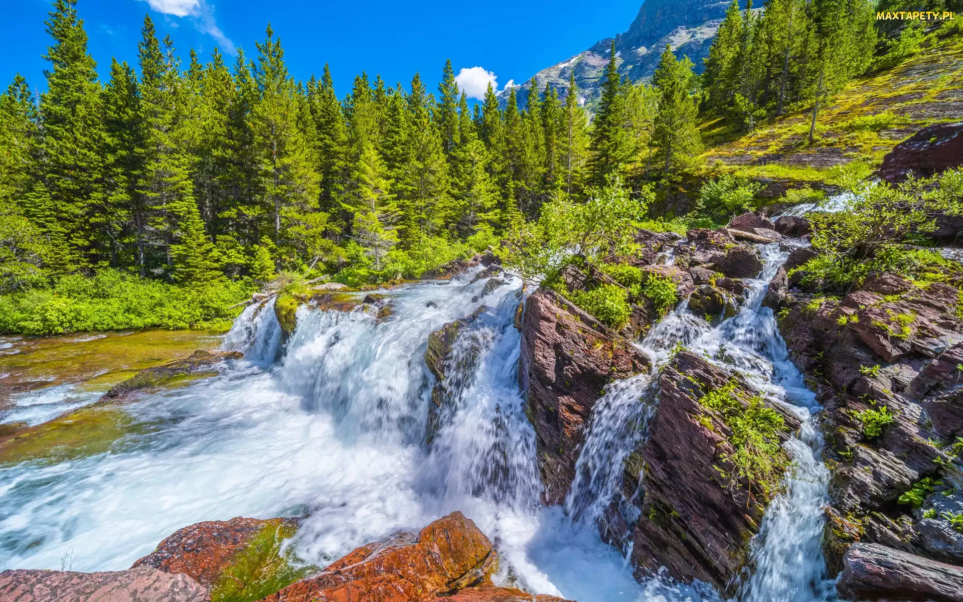 Drzewa, Rzeka, Stan Montana, Kamienie, Wodospad Redrock Falls, Stany Zjednoczone, Park Narodowy Glacier