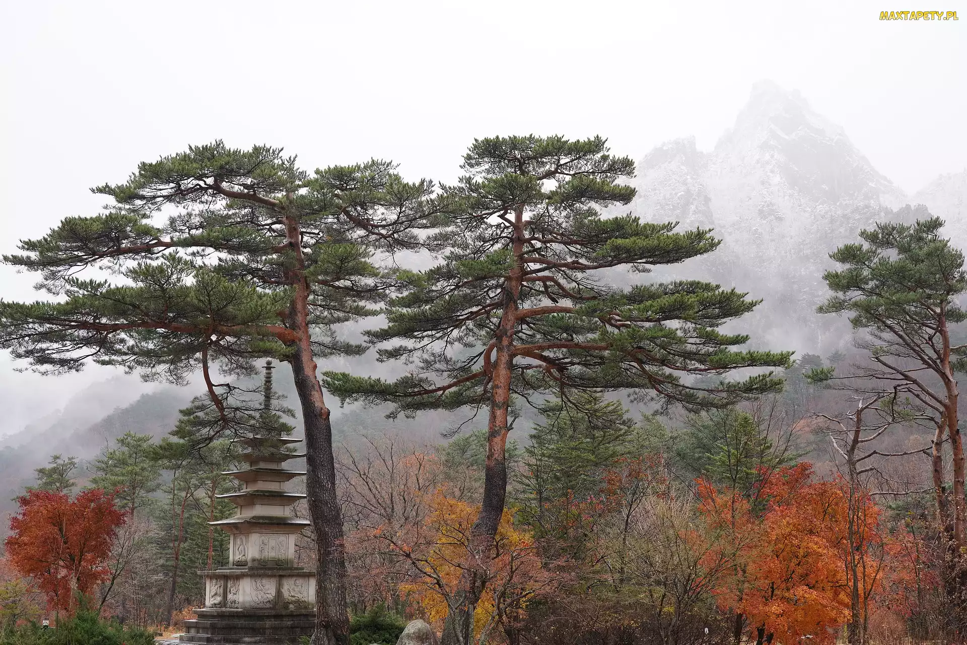 Budowla, Korea Południowa, Mgła, Góry, Sosny