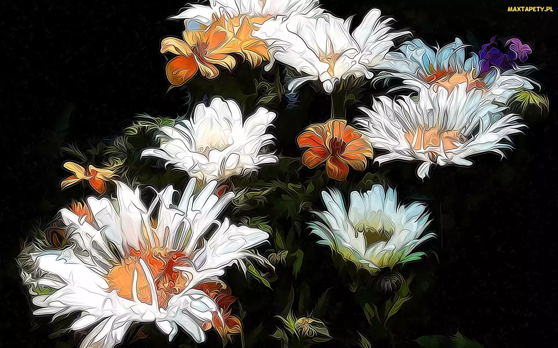Kwiaty, Fractalius, Tło, Czarne, Kolorowe