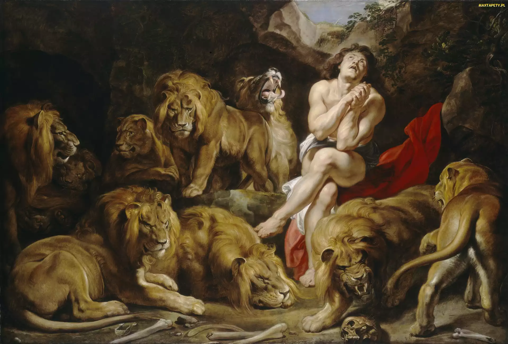 Lwy, Daniel, Malarstwo, Peter Paul Rubens