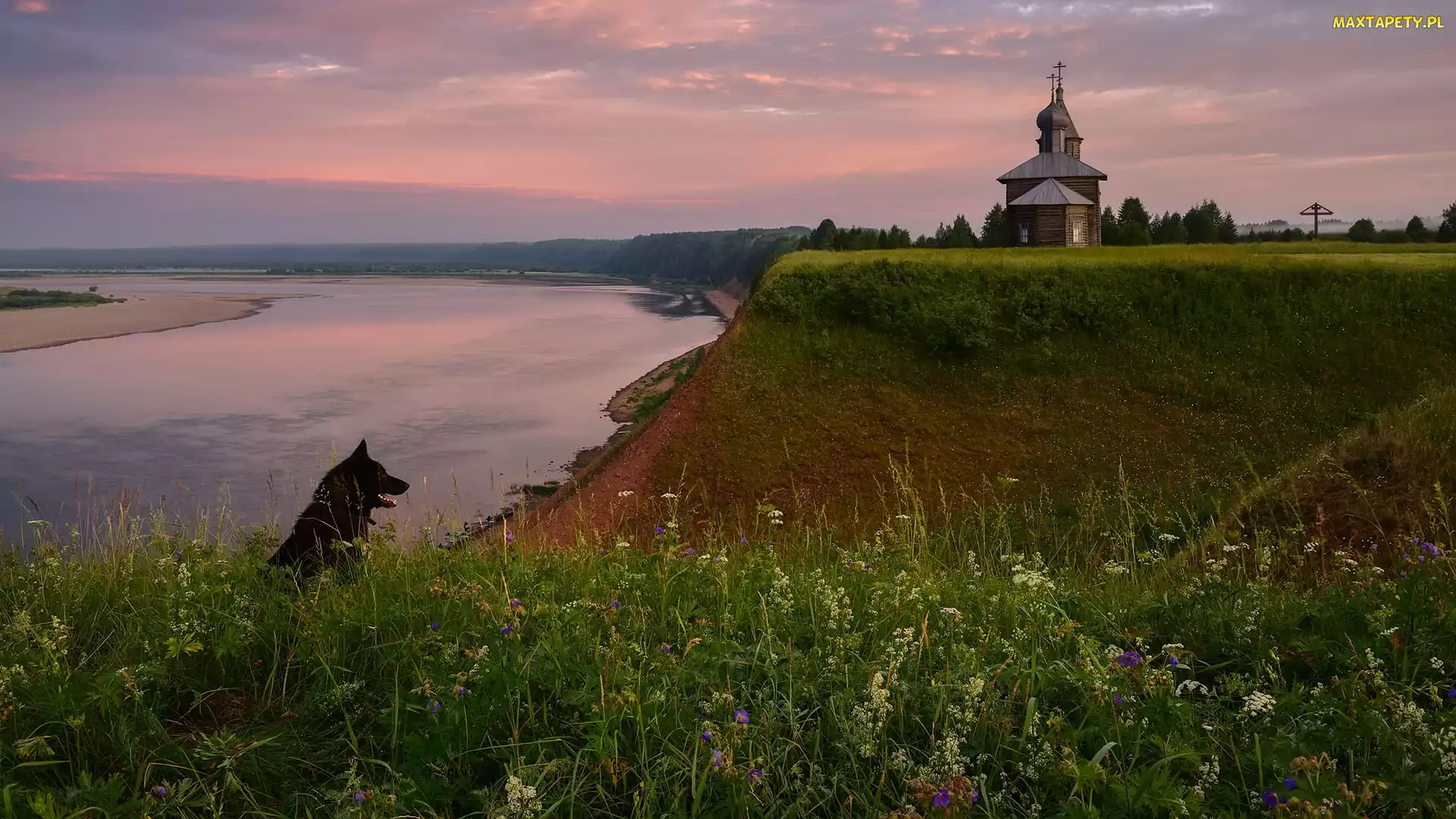 Jezioro, Pies, Cerkiew, Łąka