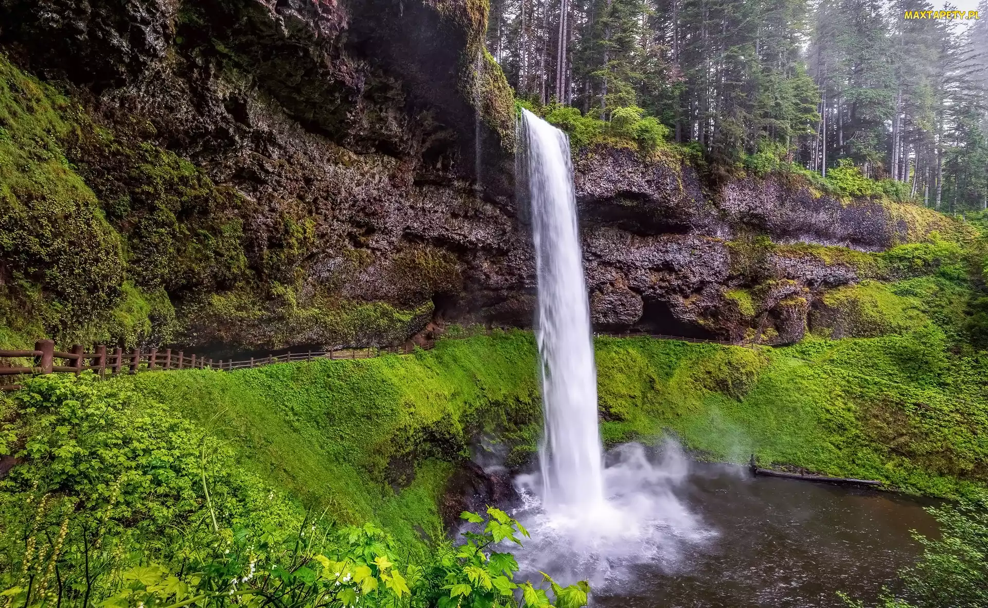 South Falls, Trawa, Wodospad, Drzewa, Stan Oregon, Skały, Stany Zjednoczone, Park stanowy Silver Falls