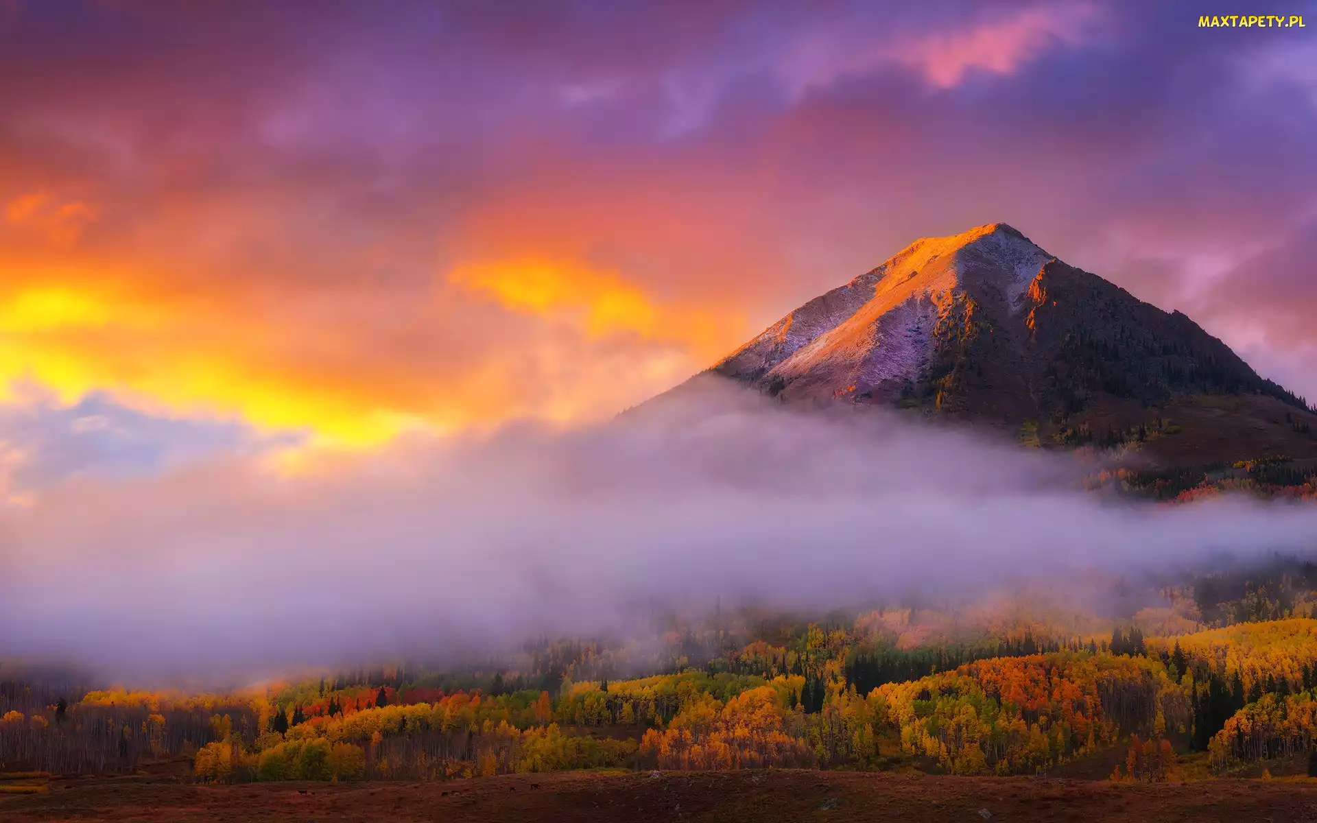 Chmury, Zachód słońca, Góra, Drzewa, Crested Butte, Stany Zjednoczone, Gothic Mountain, Kolorado, Jesień, Mgła, Las