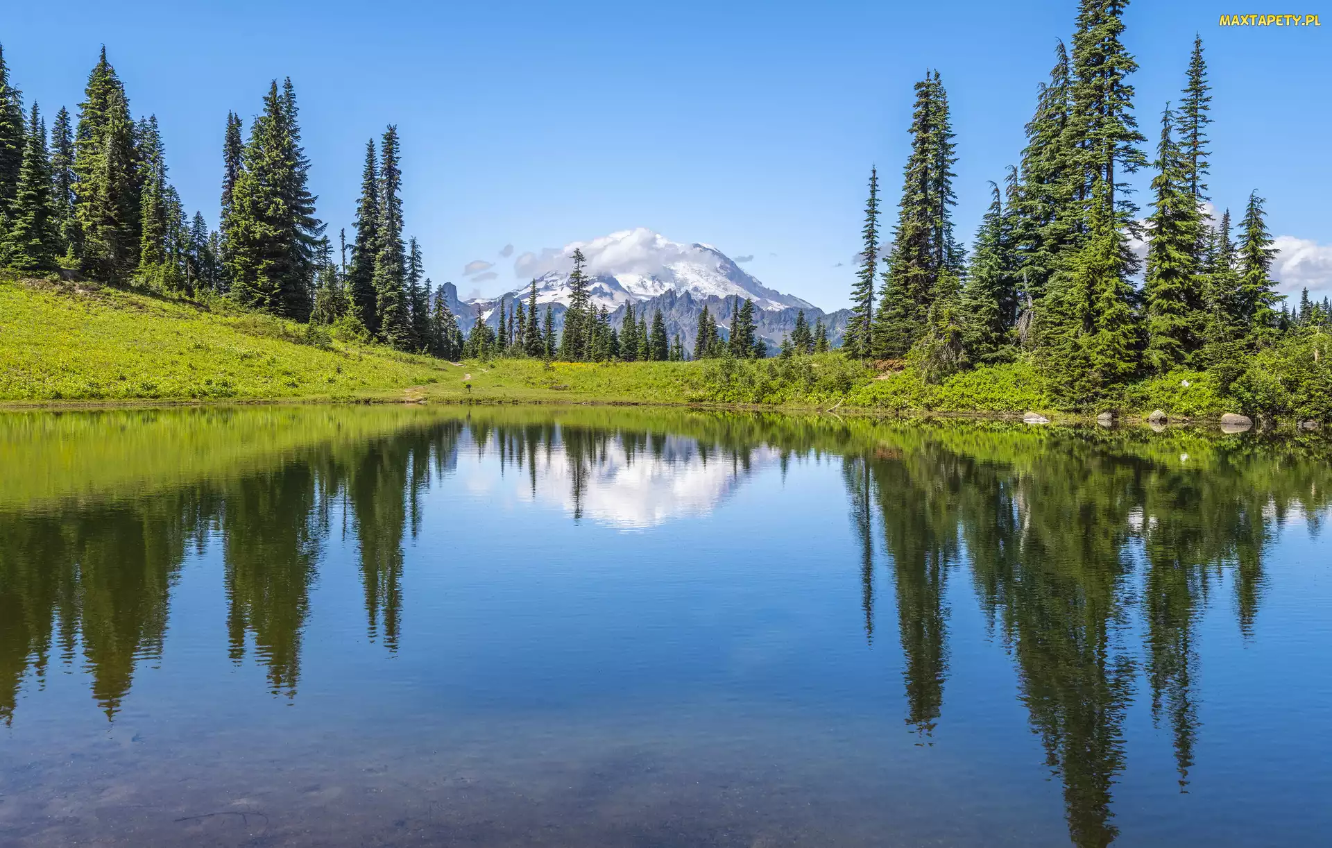 Stan Waszyngton, Drzewa Park Narodowy Mount Rainier, Tipsoo Lake, Stany Zjednoczone, Odbicie, Jezioro, Góry