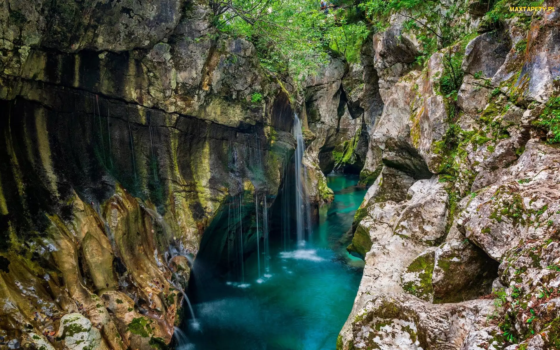 Rzeka Socza, Słowenia, Skały, Wąwóz, Triglavski Park Narodowy