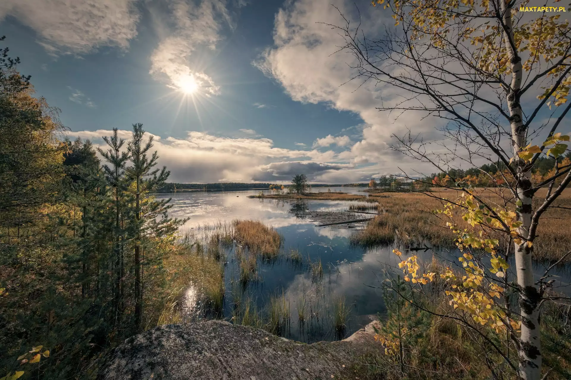 Karelia, Siegieża, Słońce, Rosja, Rzeka Siegieża, Drzewa, Jesień