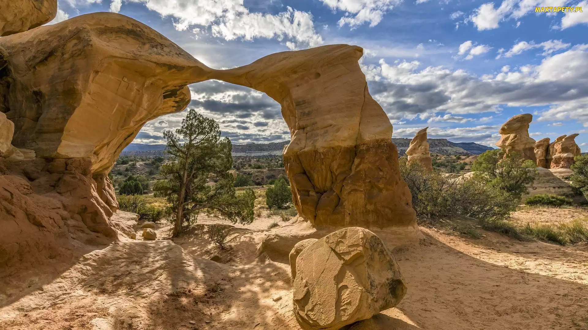 Łuk skalny, Devils Garden, Skały, Drzewa, Stan Utah, Metate Arch, Stany Zjednoczone, Park Narodowy Arches
