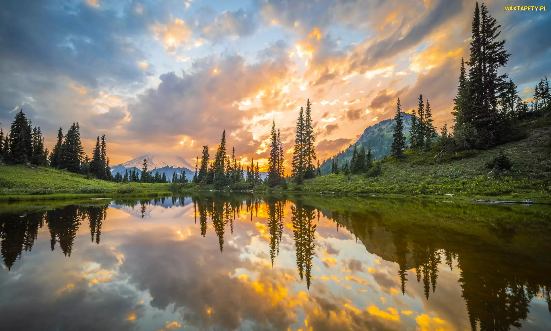 Stan Waszyngton, Drzewa, Góry, Stany Zjednoczone, Tipsoo Lake, Park Narodowy Mount Rainier, Jezioro