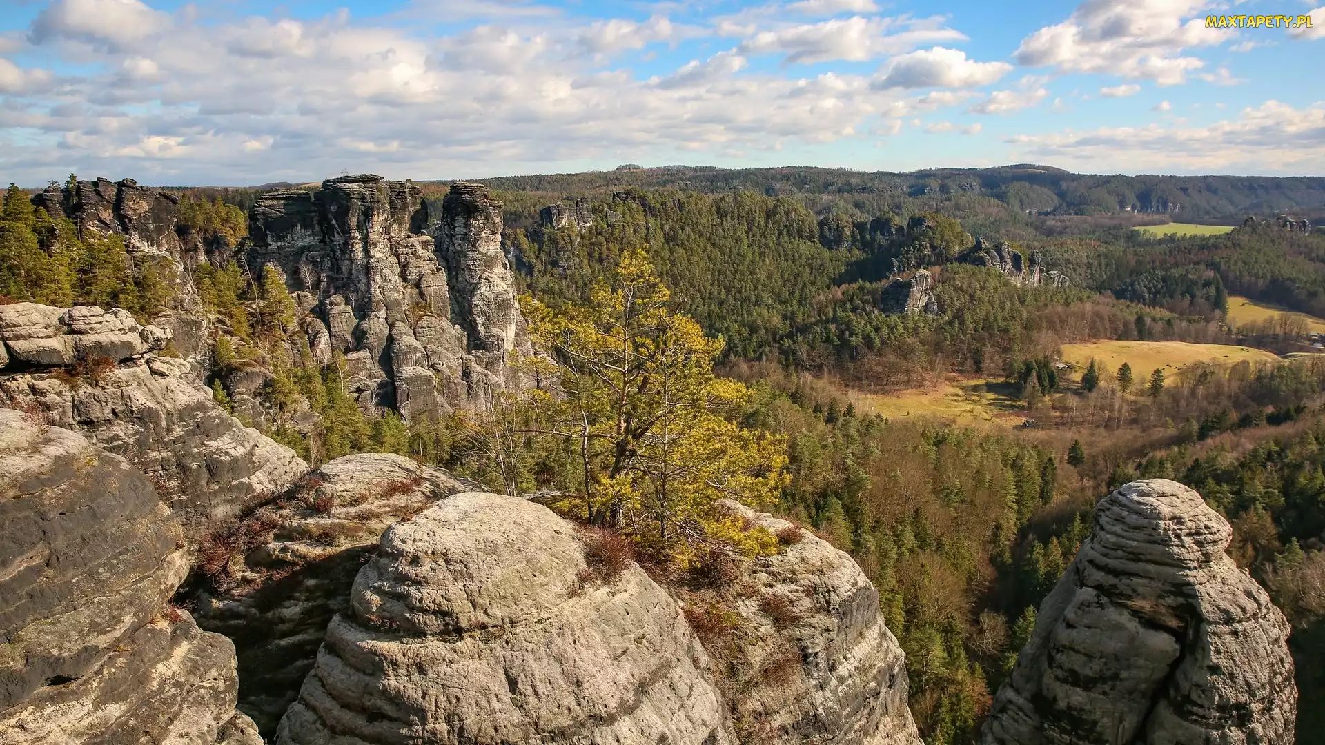 Niemcy, Szwajcaria Saksońska, Formacja skalna, Skały, Drzewa, Góry Połabskie