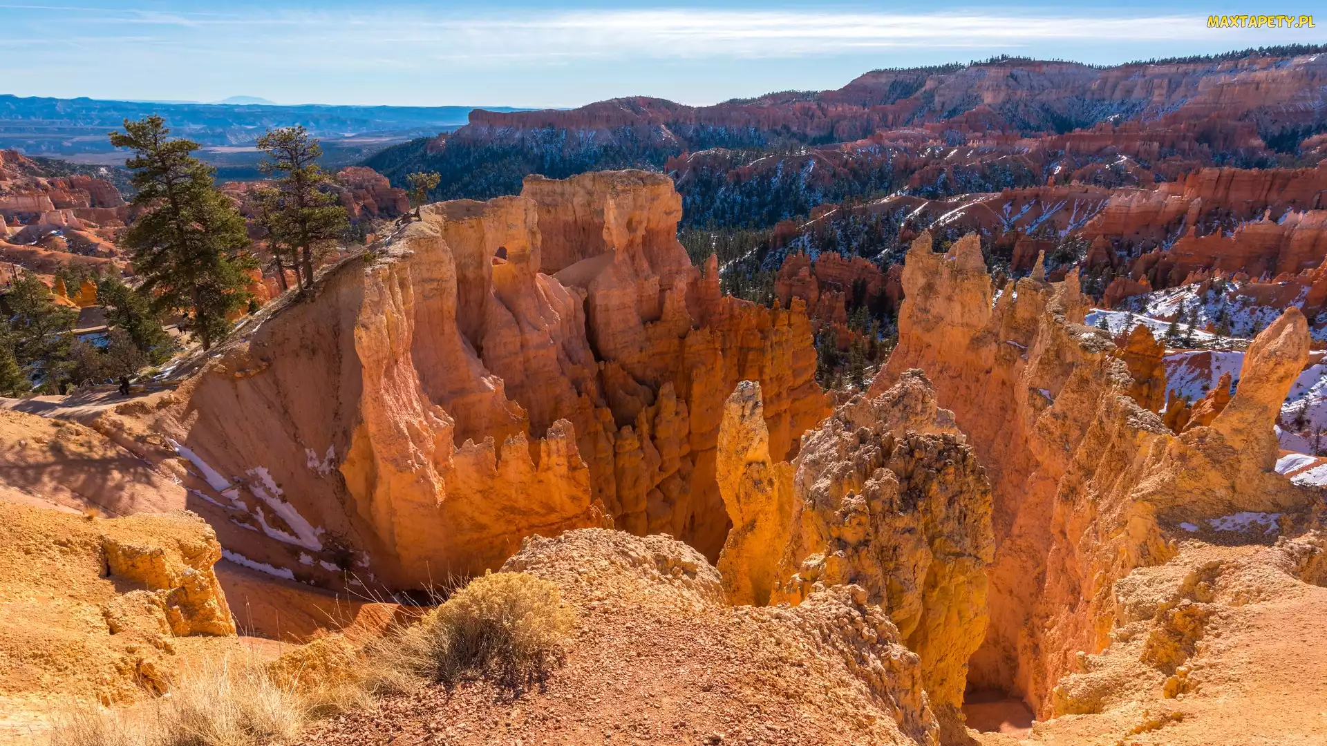 Stan Utah, Park Narodowy Bryce Canyon, Skały, Stany Zjednoczone, Drzewa, Góry, Kanion