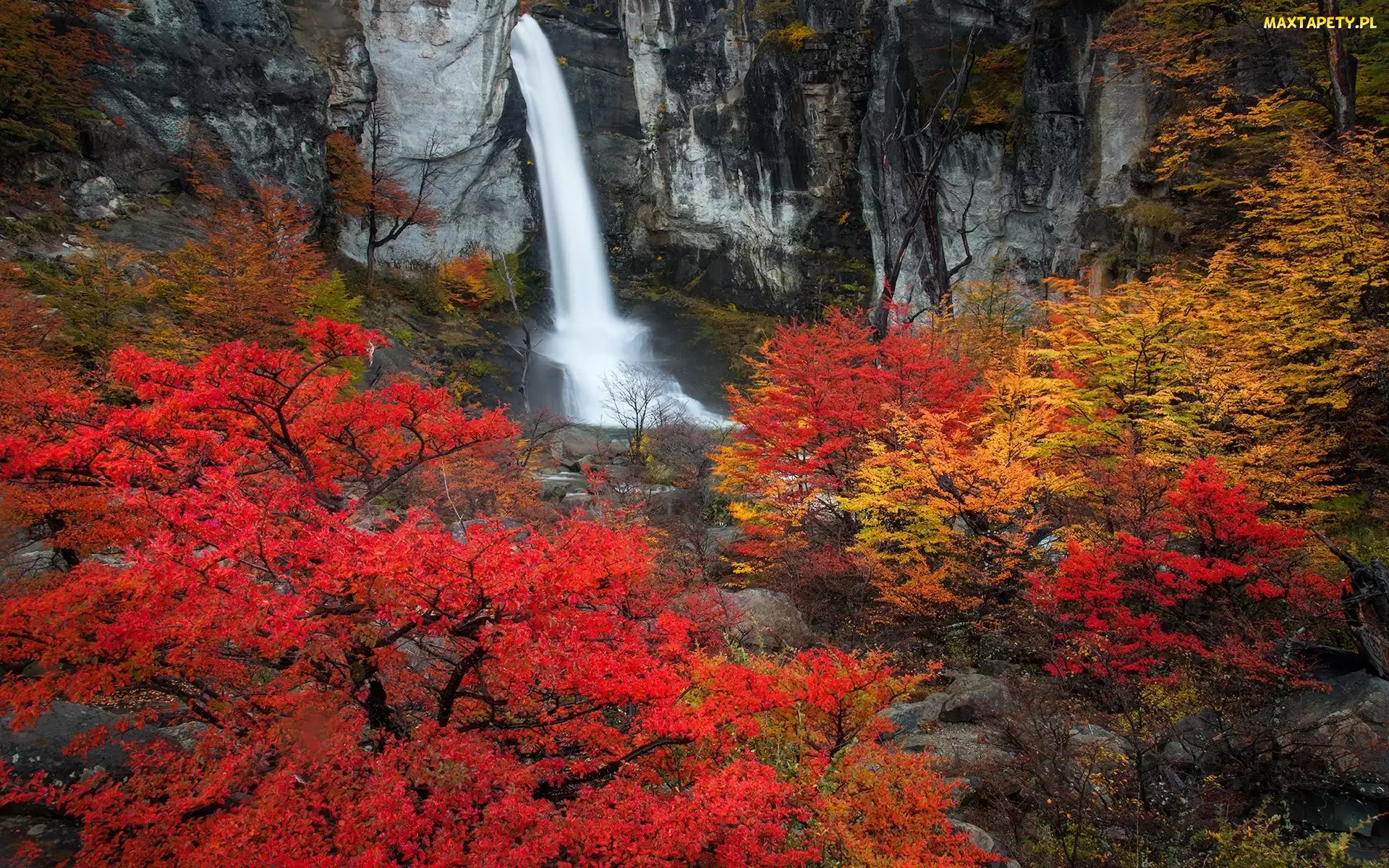 Chorrillo del Salto, Drzewa, Wodospad, Kolorowe, Prowincja Santa Cruz, Jesień, Argentyna, Skały